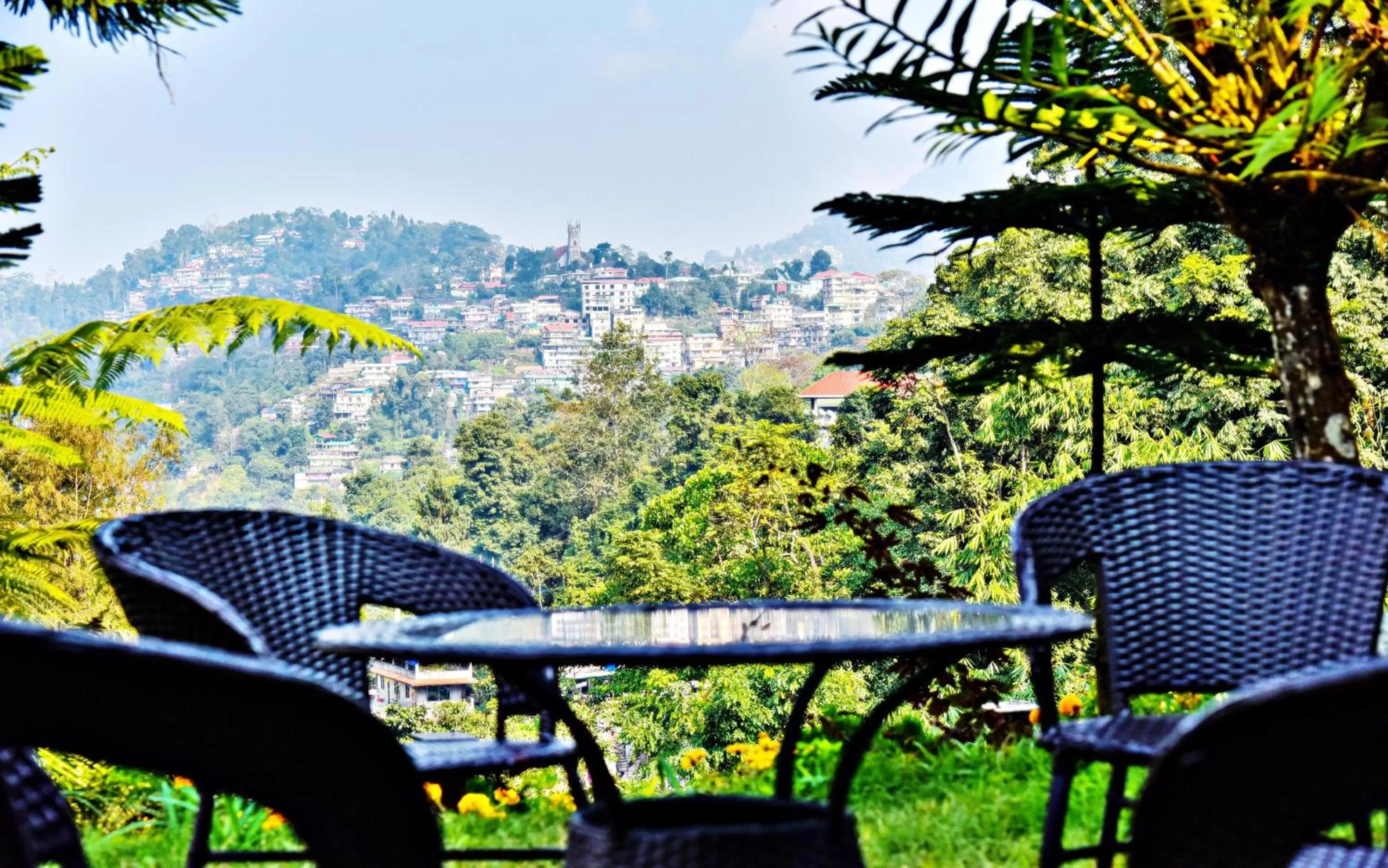 Garden in Sood's Himalayan Vista