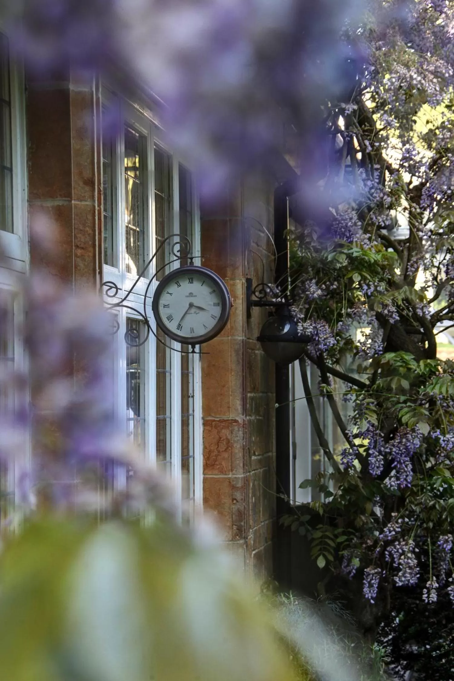 Garden view in The Grange at Oborne