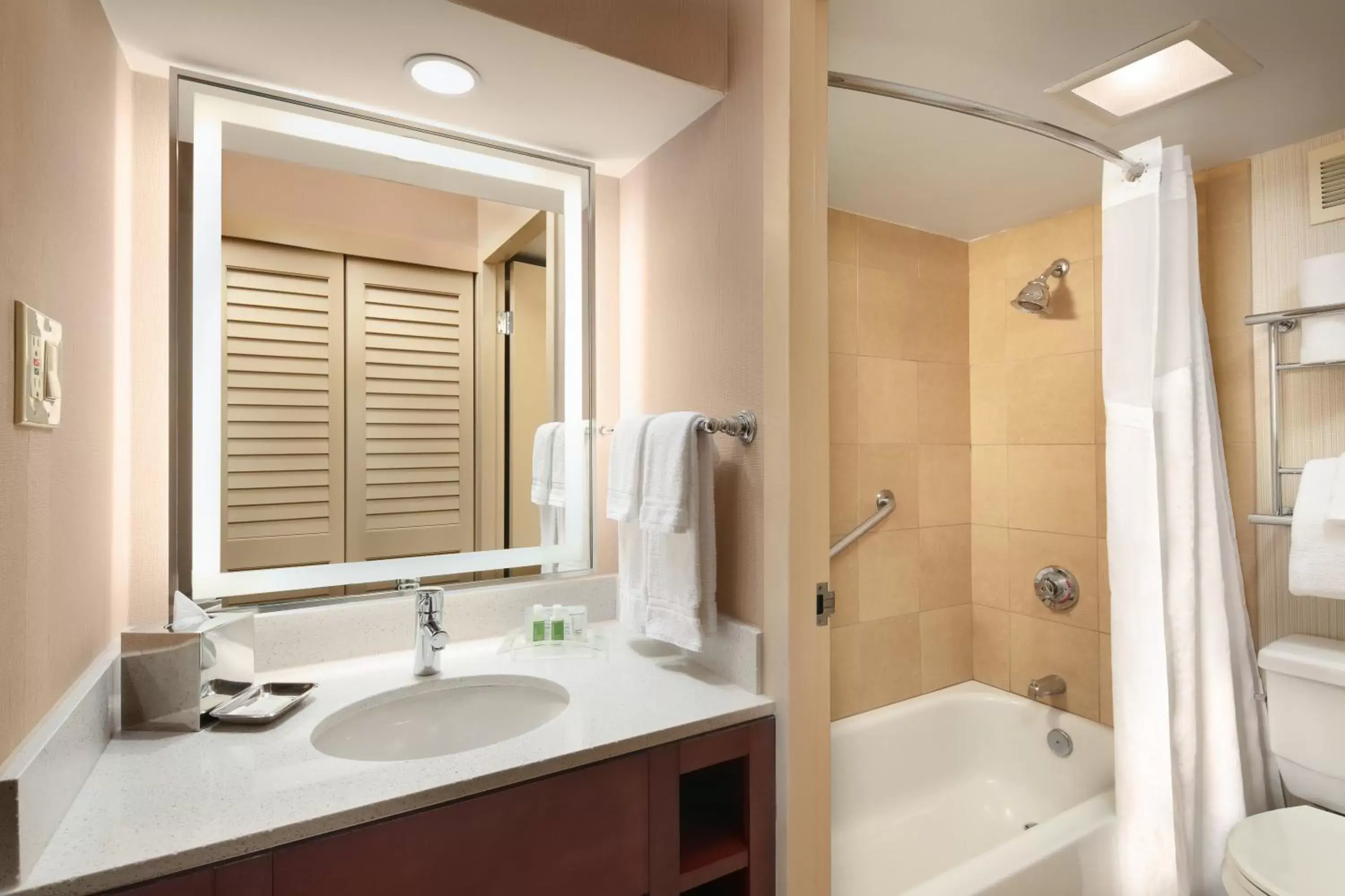 Bathroom in Holiday Inn Austin -Town Lake, an IHG Hotel