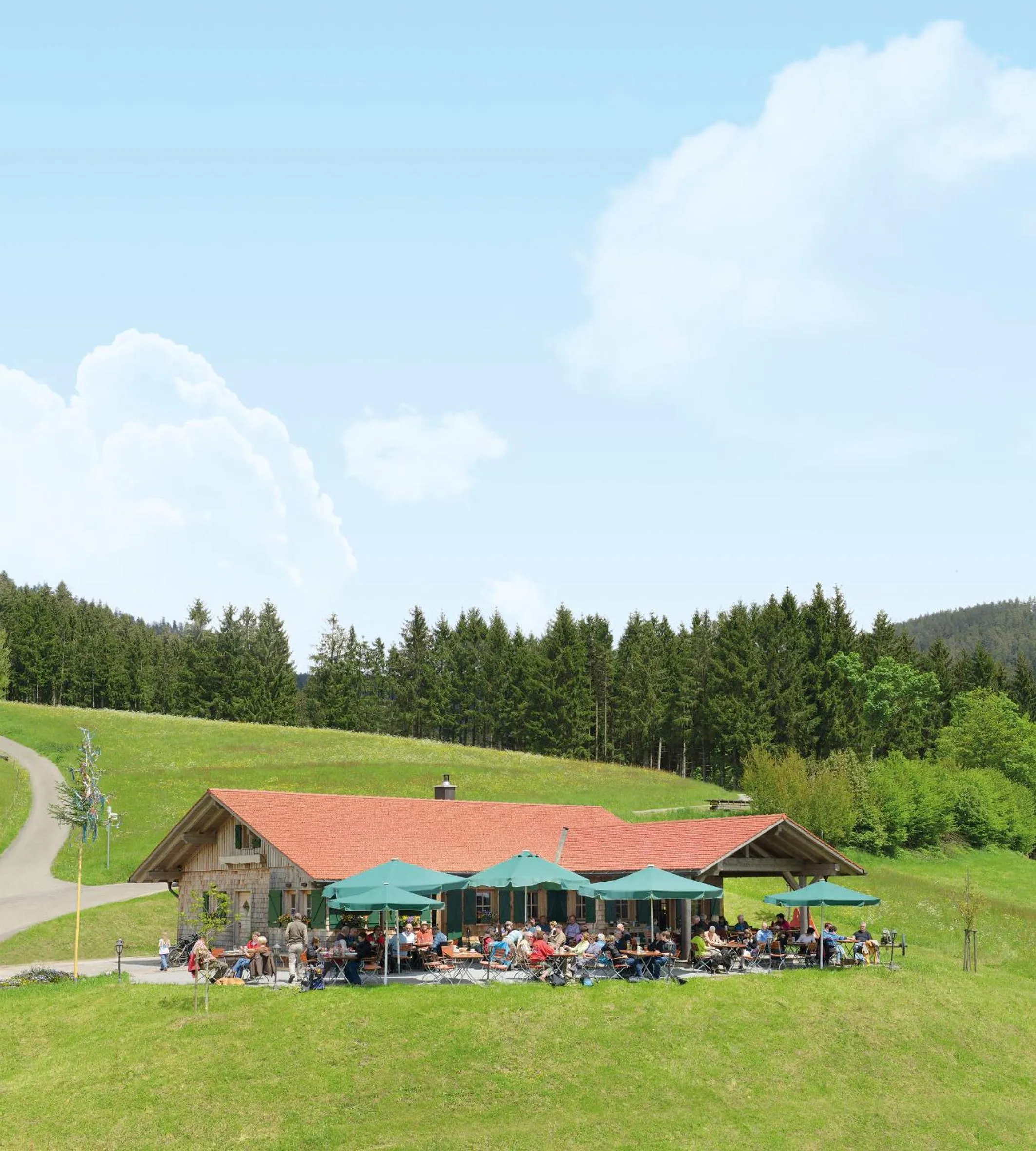 Hiking in Sackmann Wanderhotel