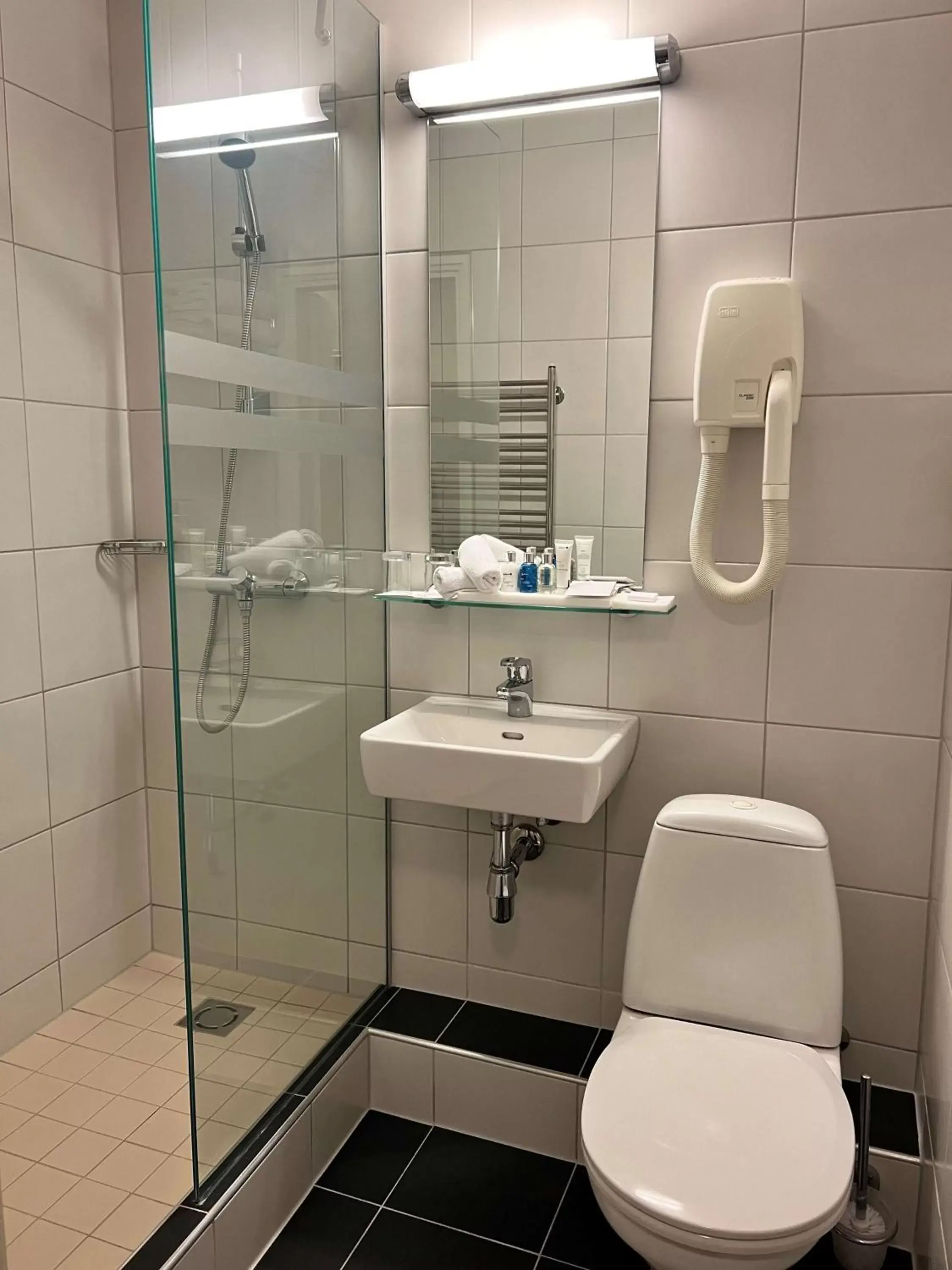 Bedroom, Bathroom in Radisson Blu Daugava Hotel, Riga