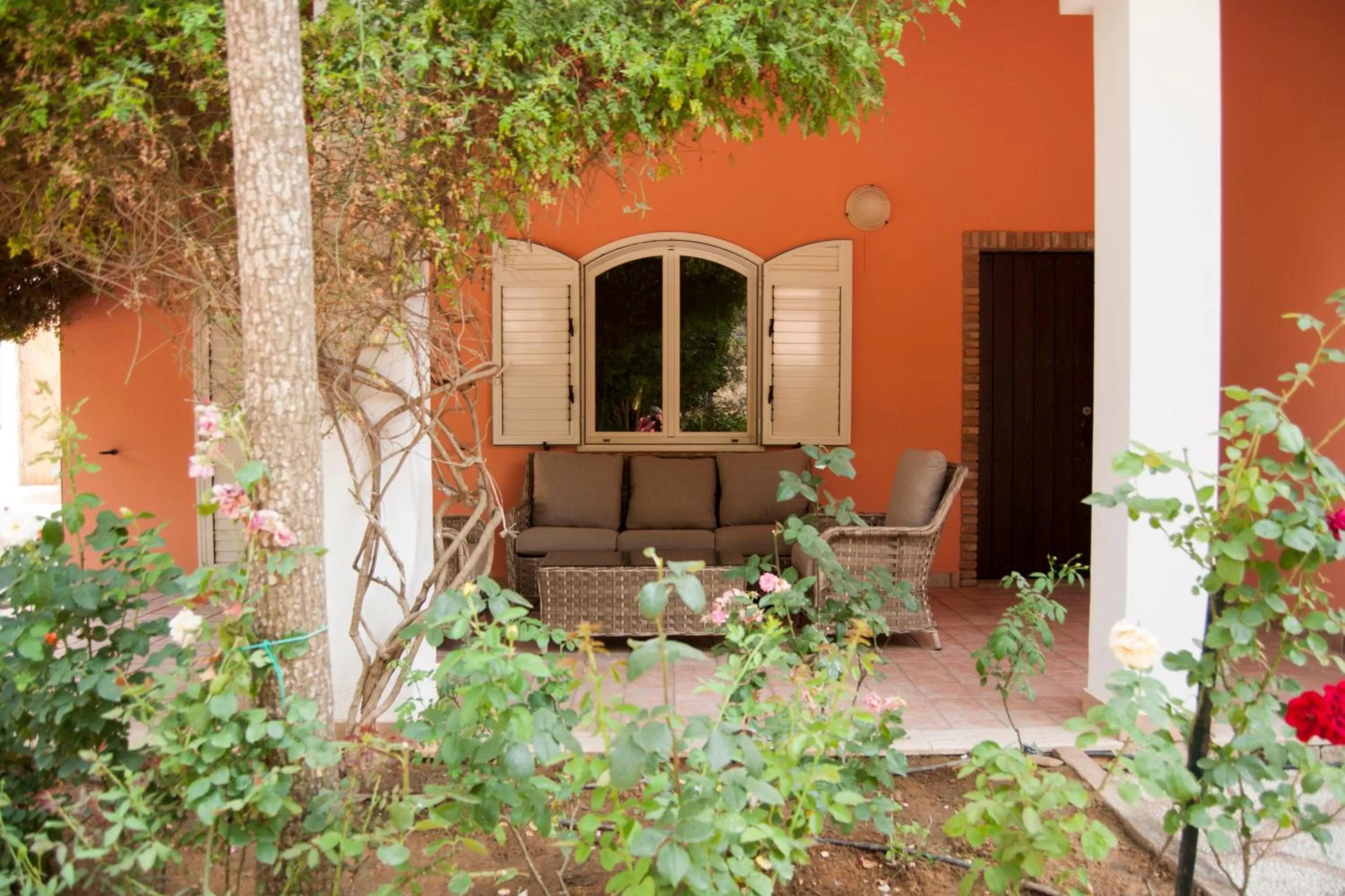 Balcony/Terrace in Agriresort Villa Bentivoglio