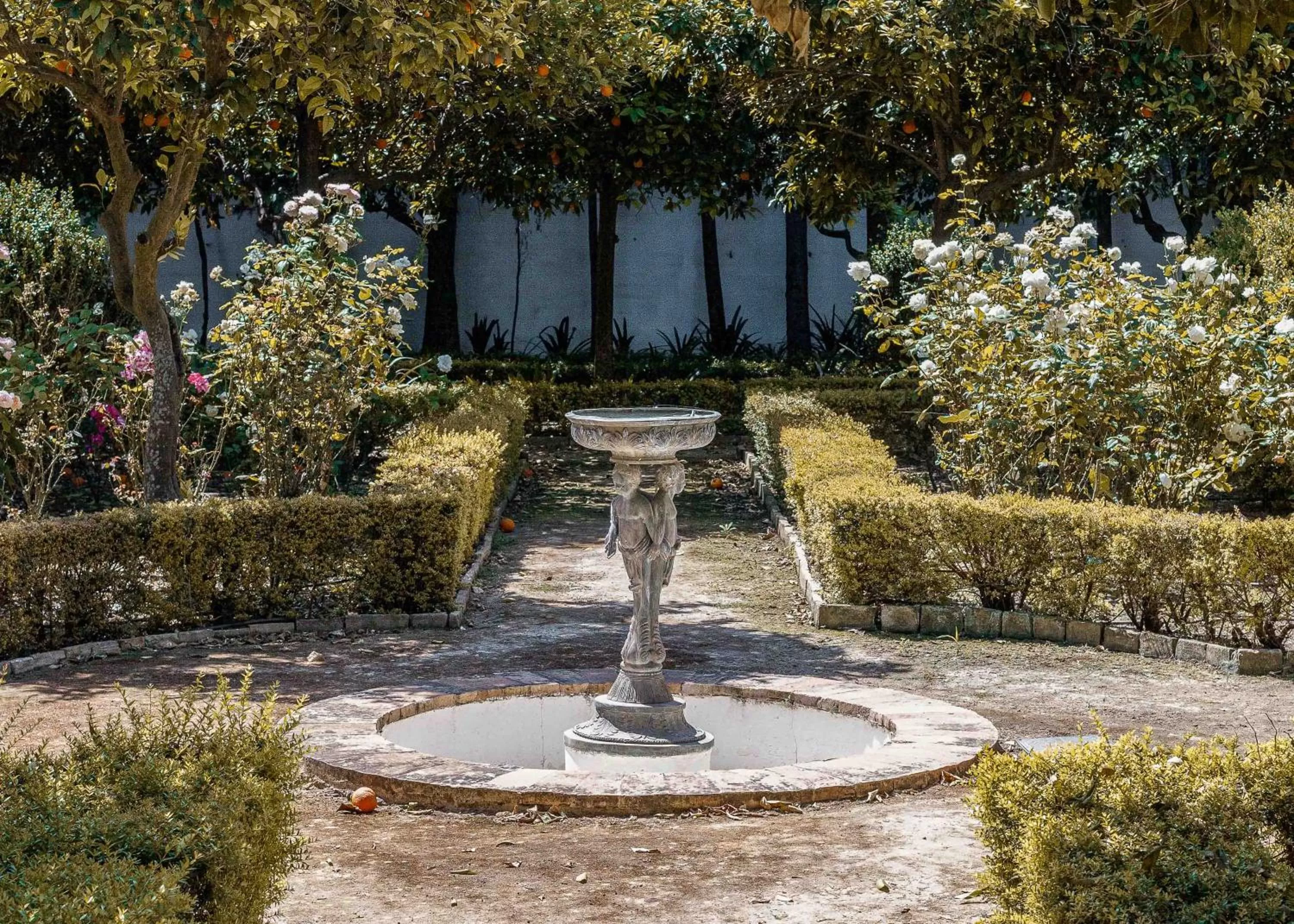 Garden in Monasterio de San Francisco