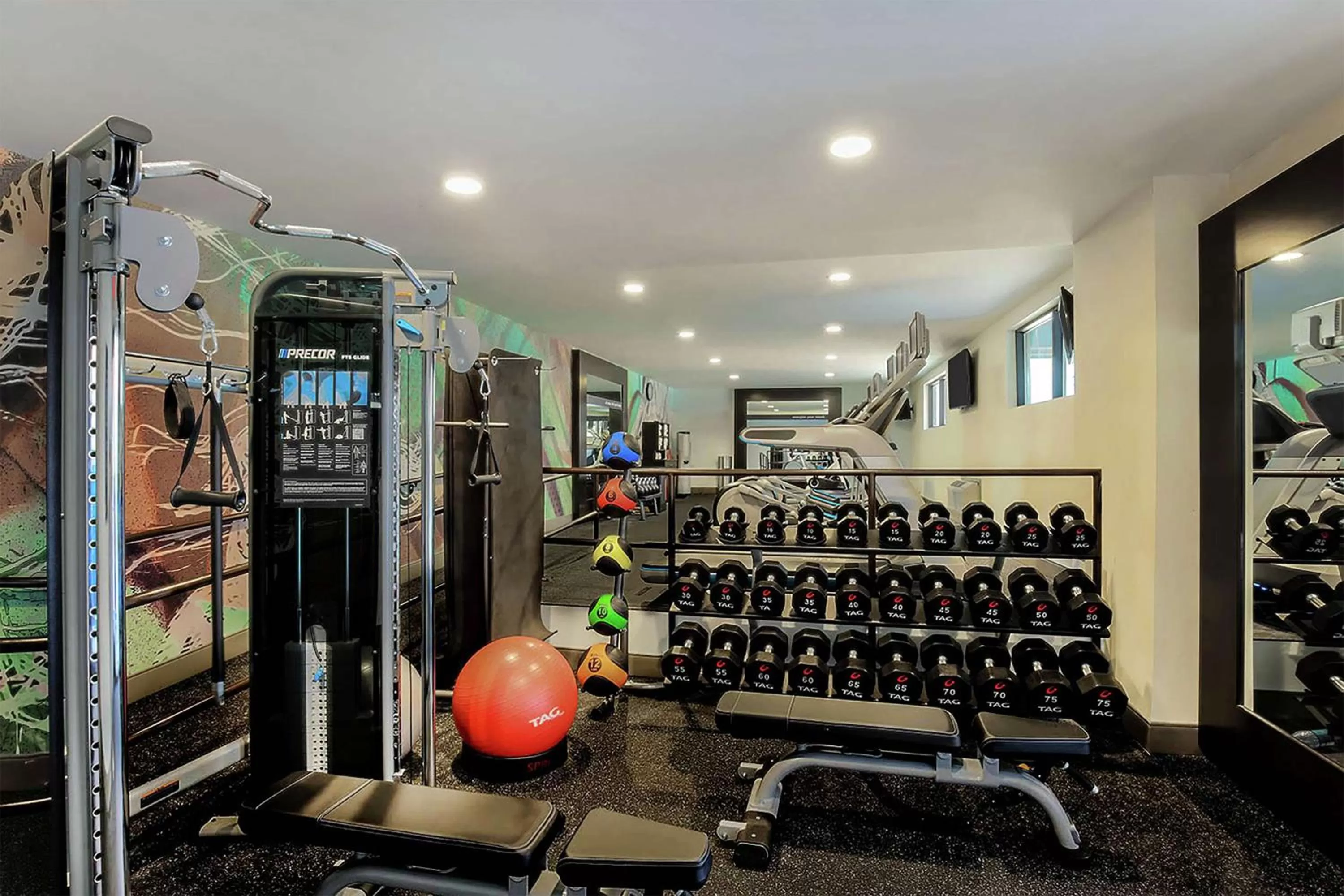 Fitness centre/facilities in Hampton Inn & Suites Austin - Downtown
