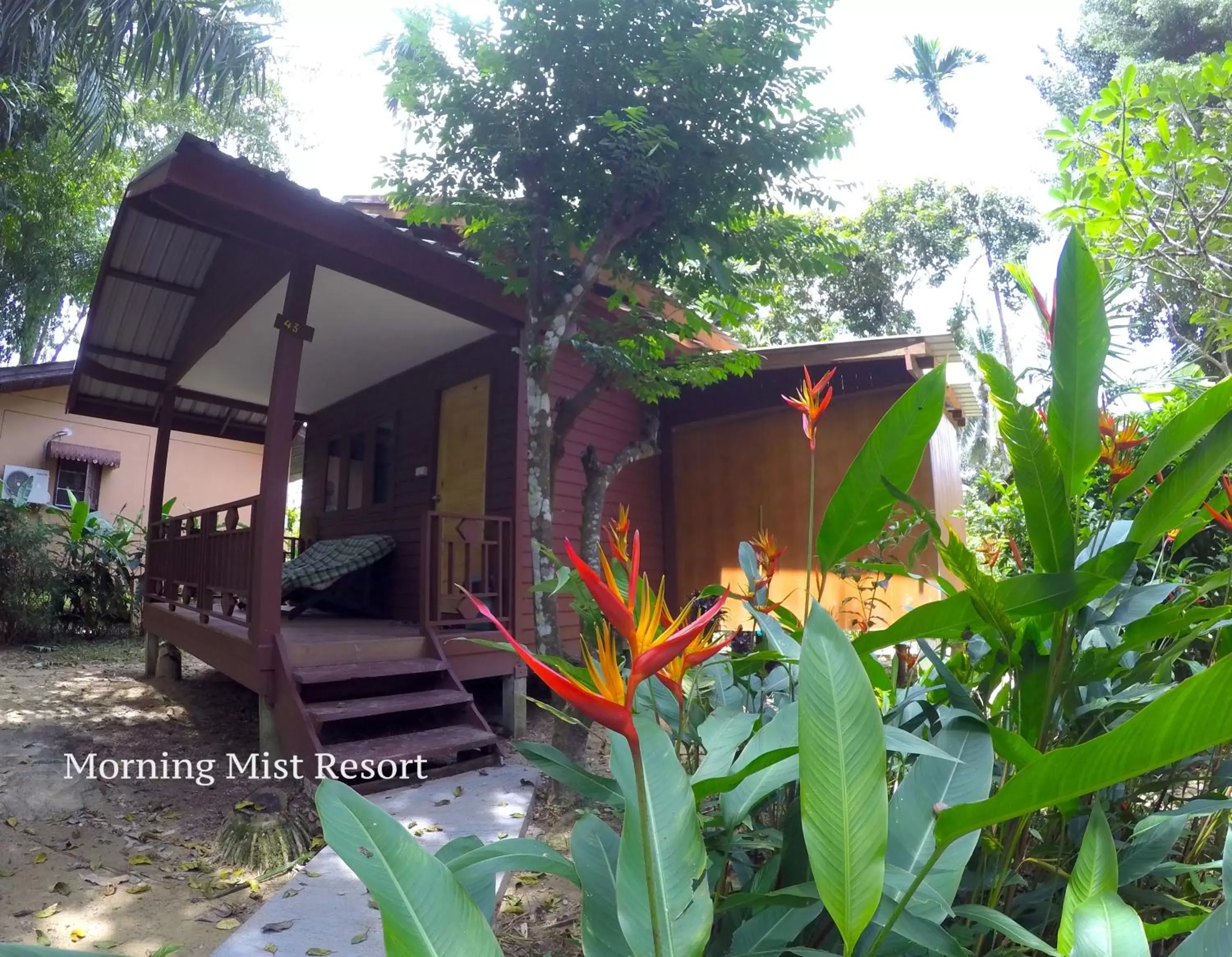 Photo of the whole room, Property Building in Khao Sok Morning Mist Resort