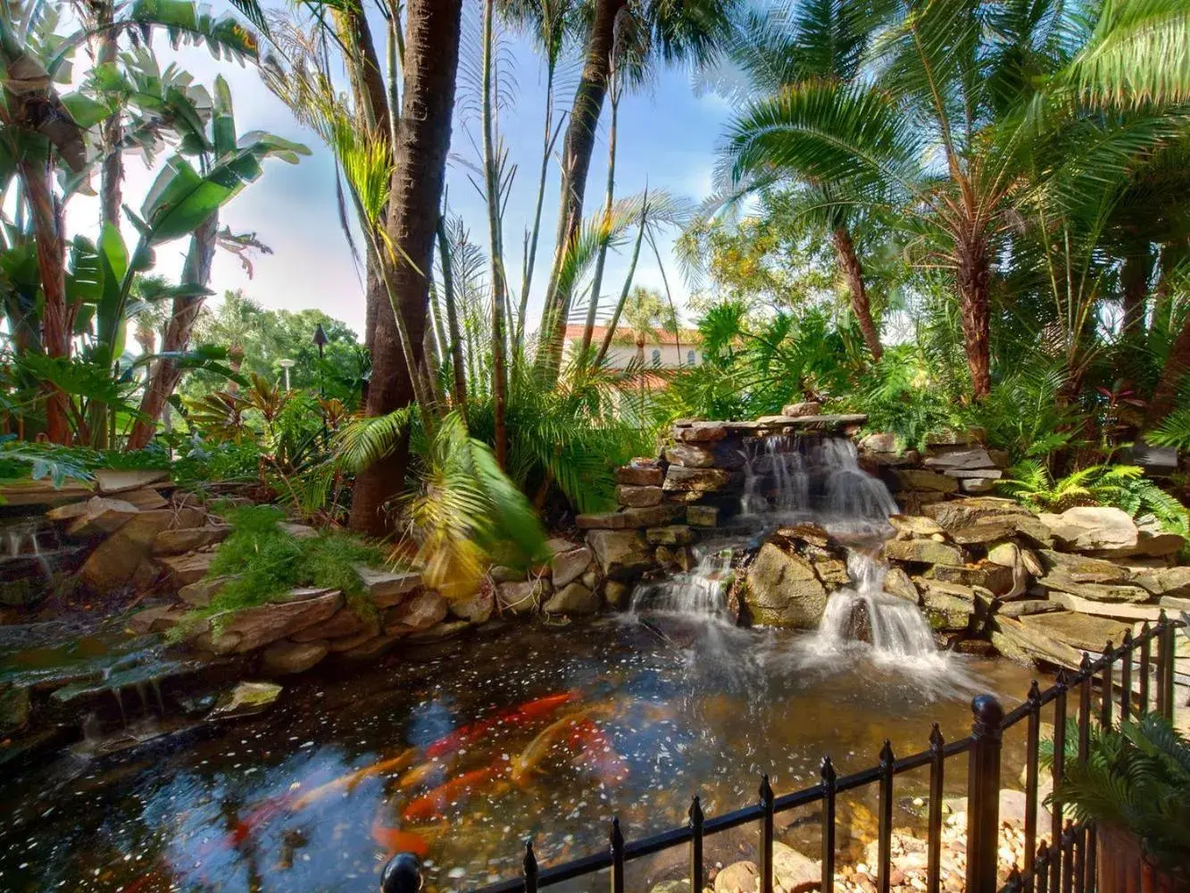Natural landscape in Tahitian Inn Boutique Hotel Tampa