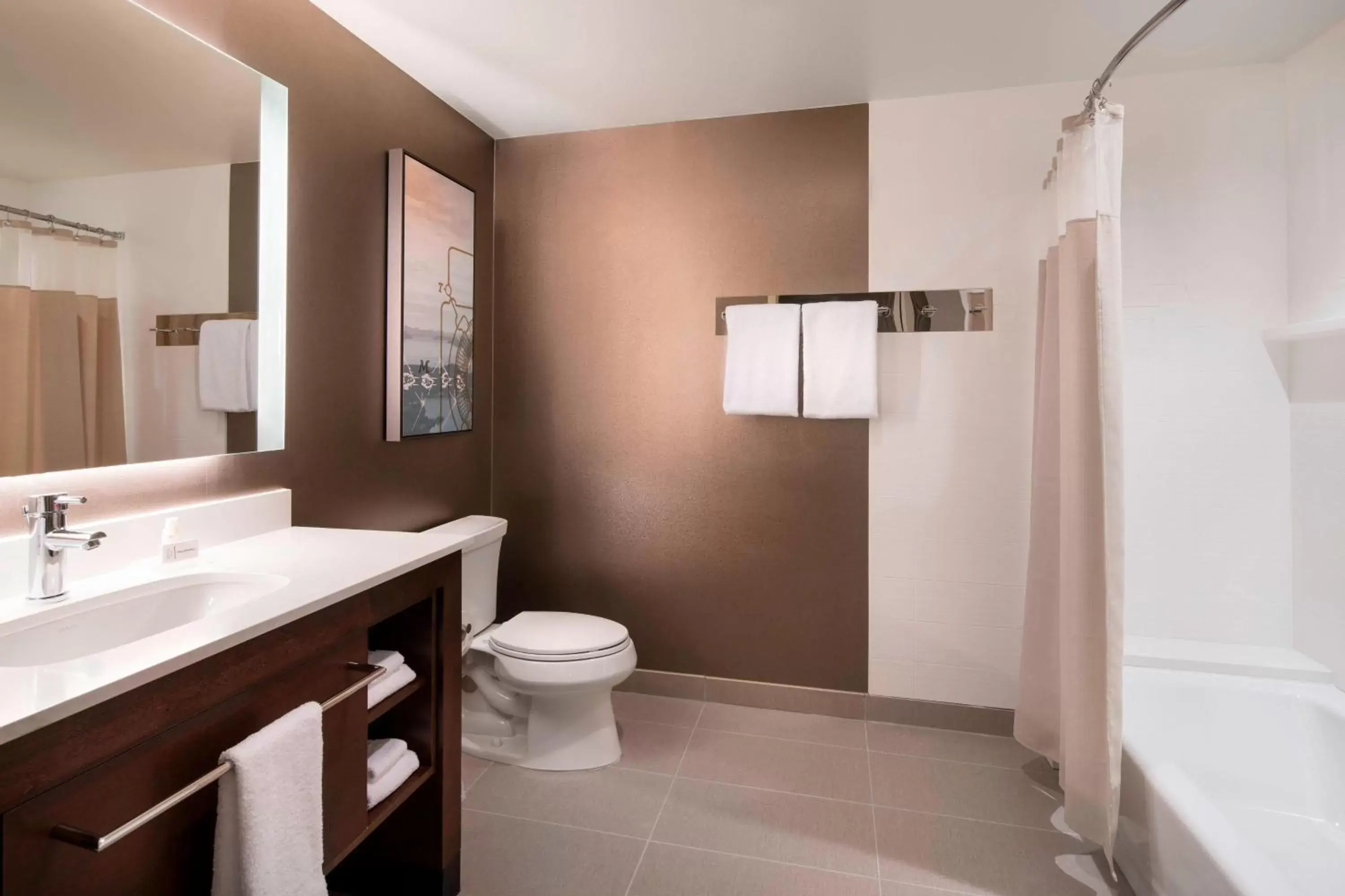 Bathroom in Residence Inn by Marriott Redwood City San Carlos