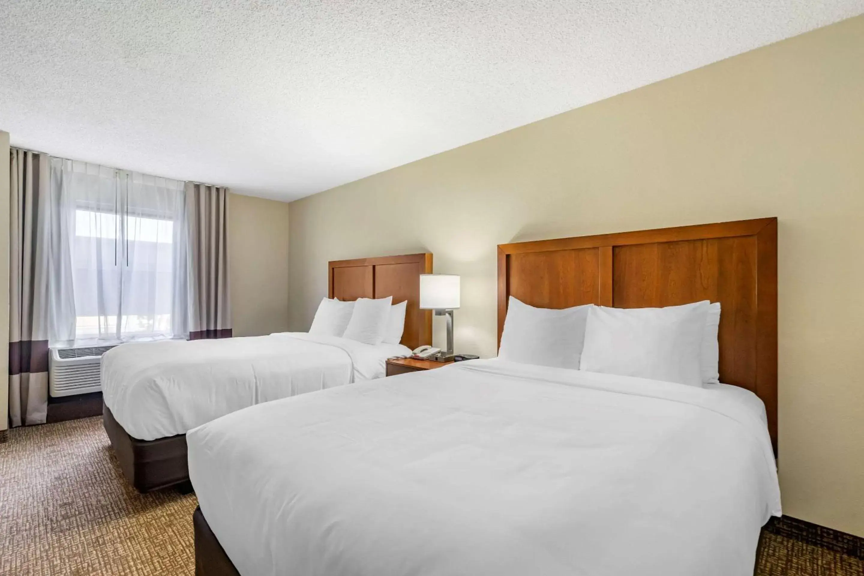 Bedroom, Bed in Comfort Inn & Suites St Pete - Clearwater International Airport