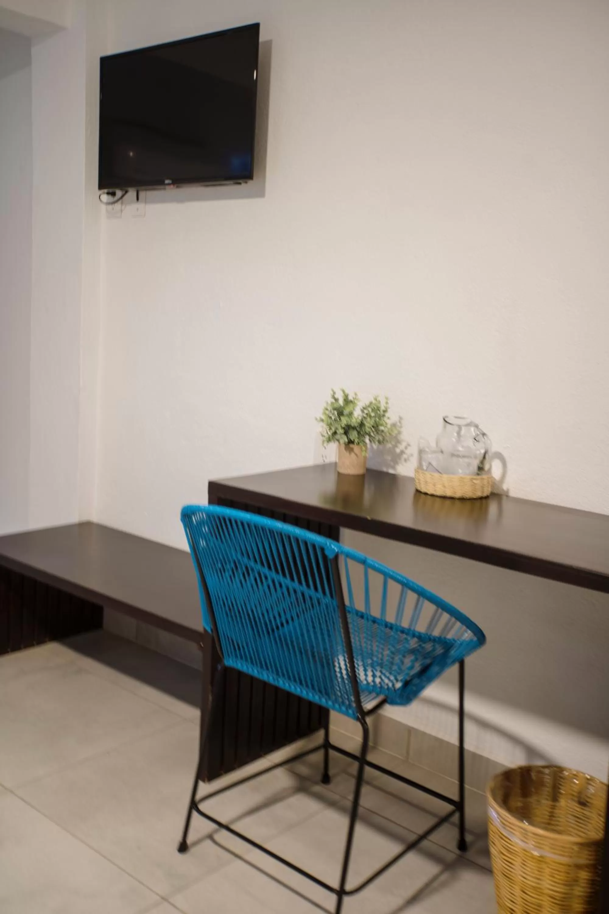 TV and multimedia in Hotel Camino Del Sol