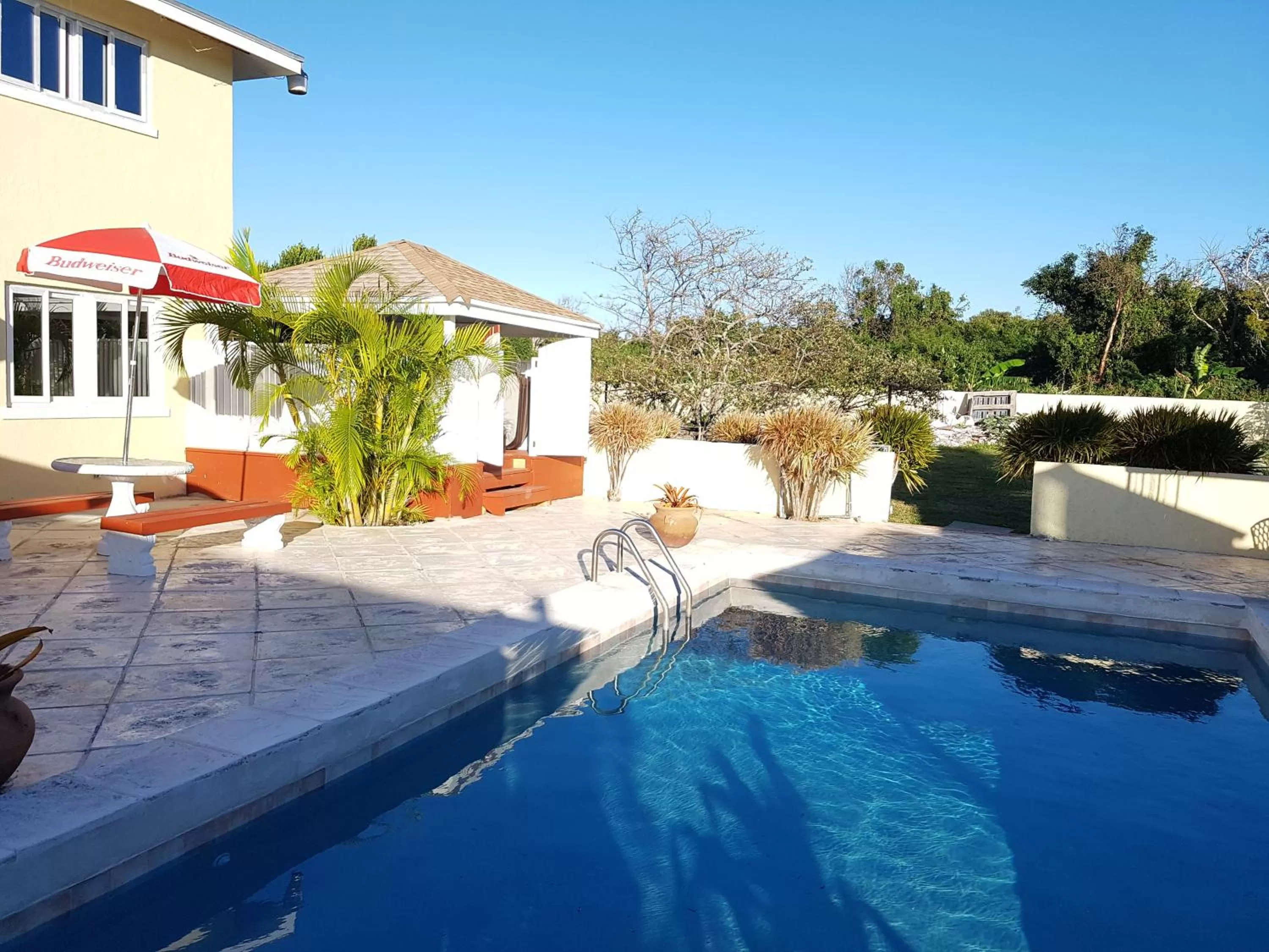 Pool view, Swimming Pool in Golden Palm B & B