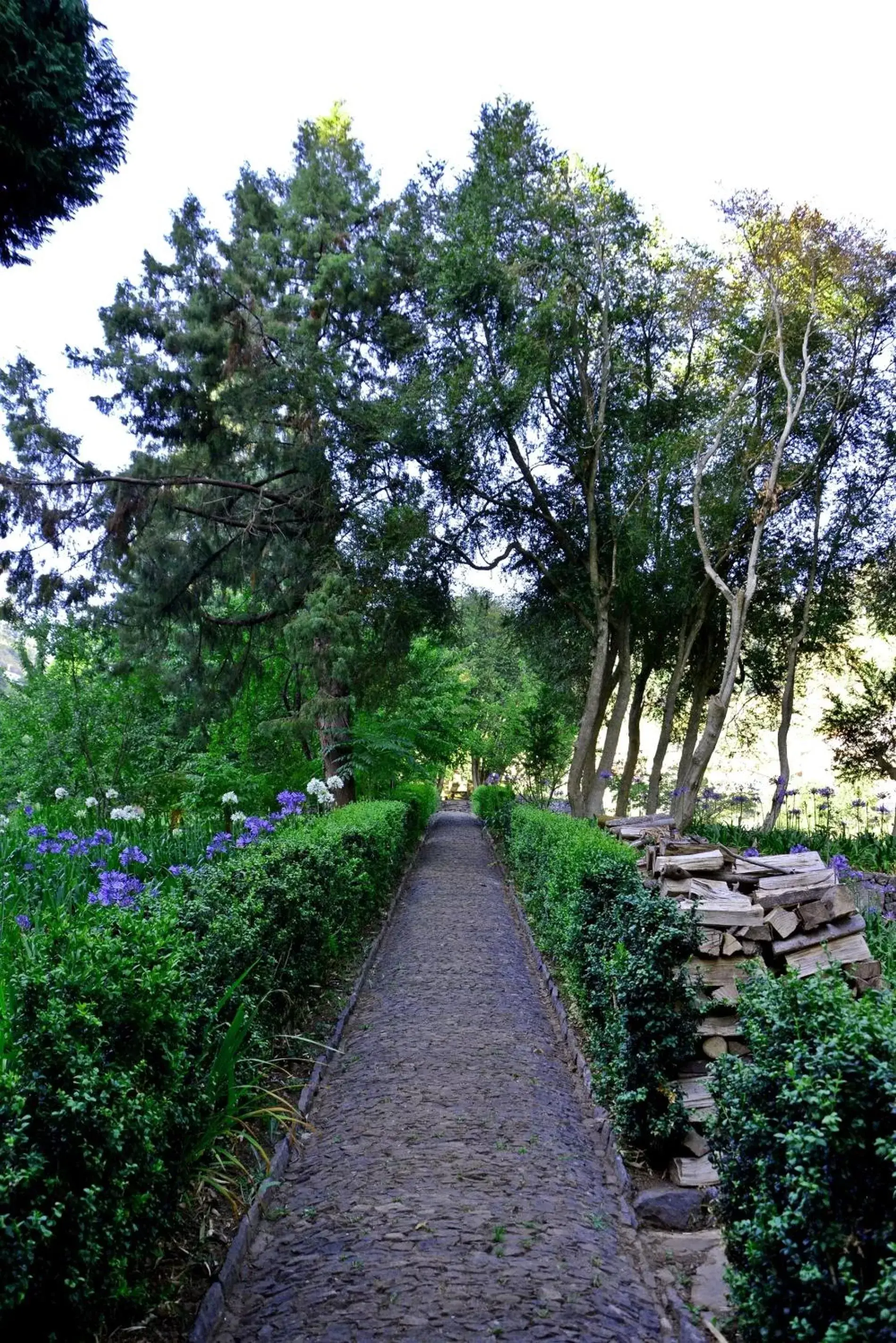 Garden in BIO Hotel - Hotel Quinta da Serra