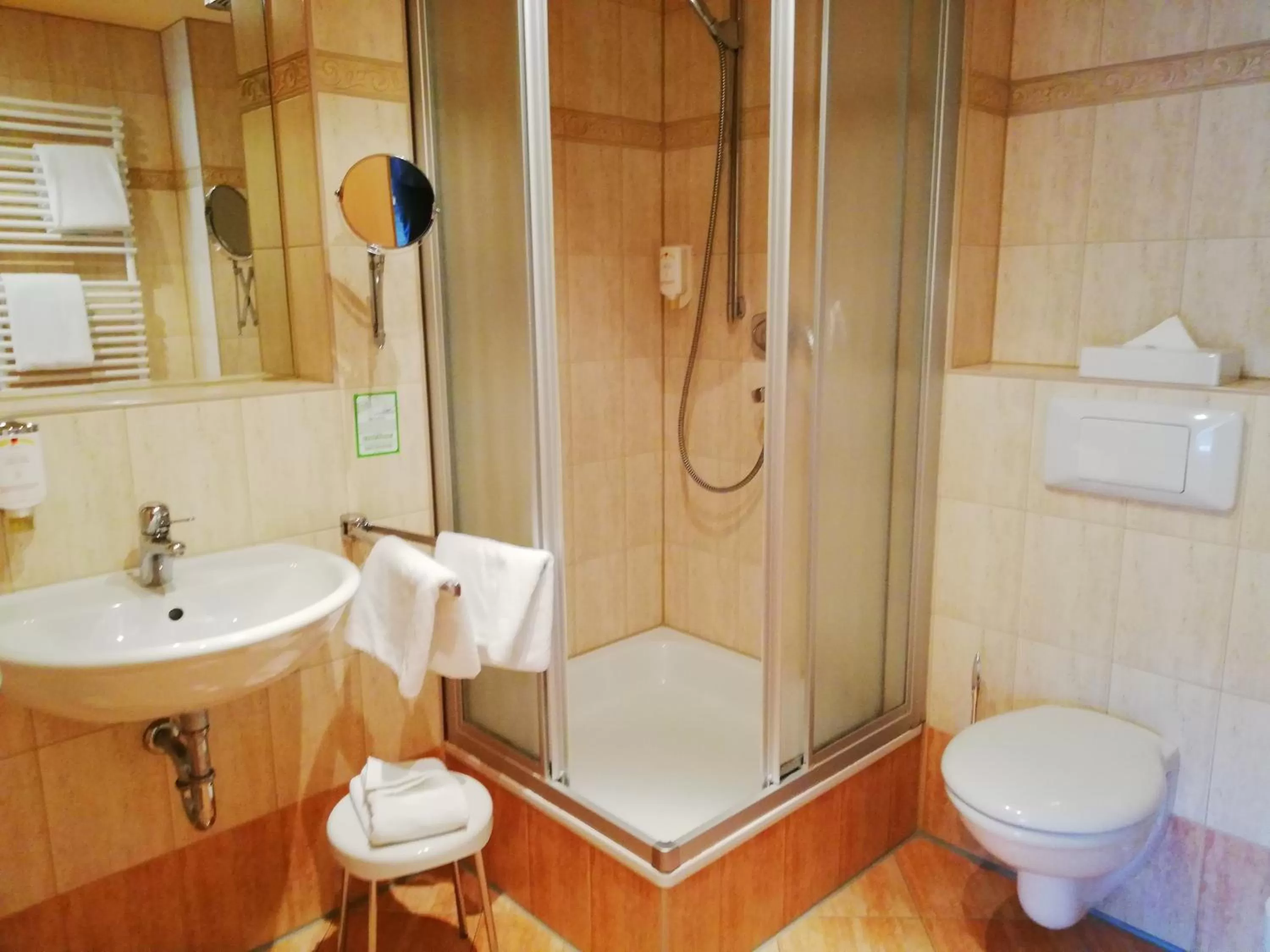 Shower in Parkhotel Bad Schandau mit SPA