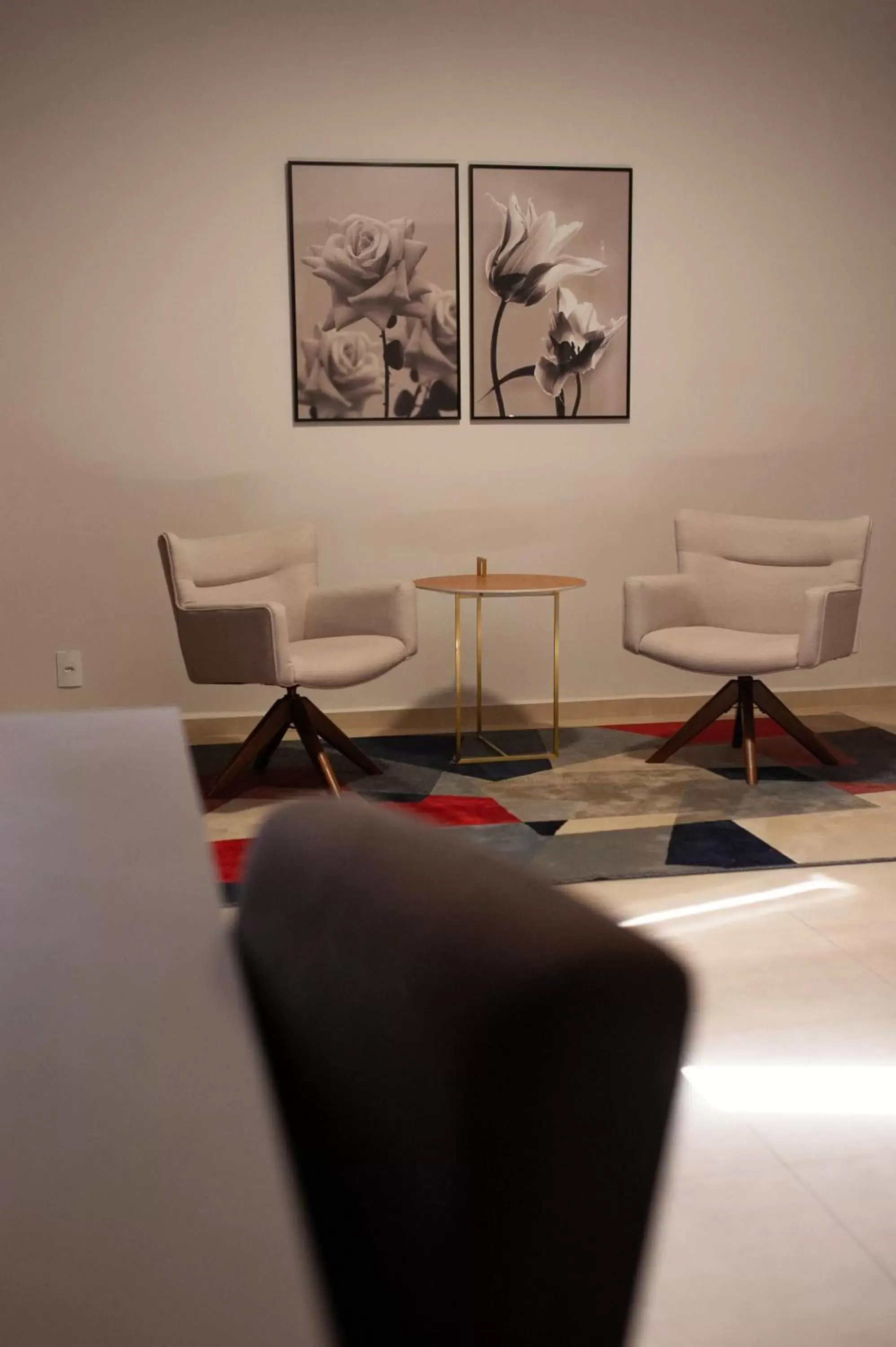 Photo of the whole room in Bristol Infinity Rio Claro Photo of the whole room in Bristol Infinity Rio Claro