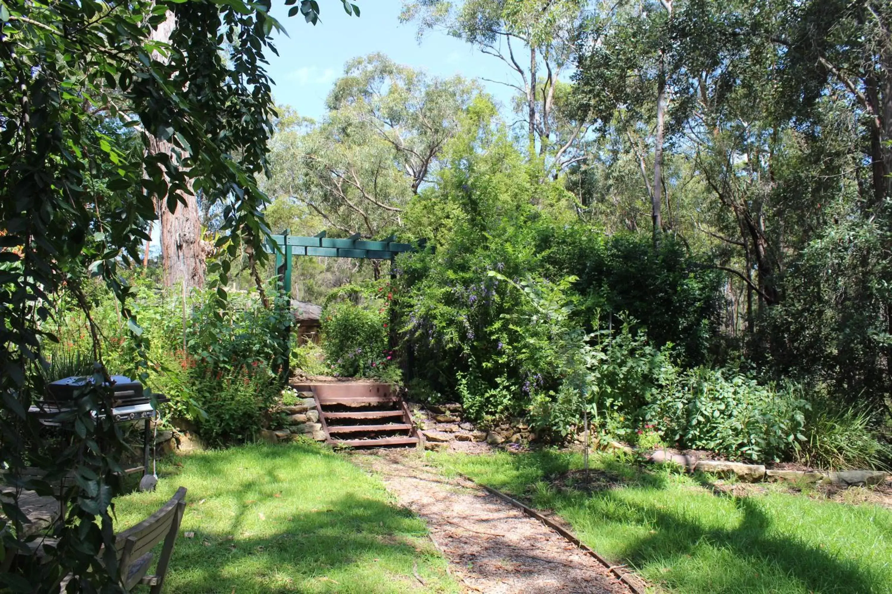 Garden in Storey Grange