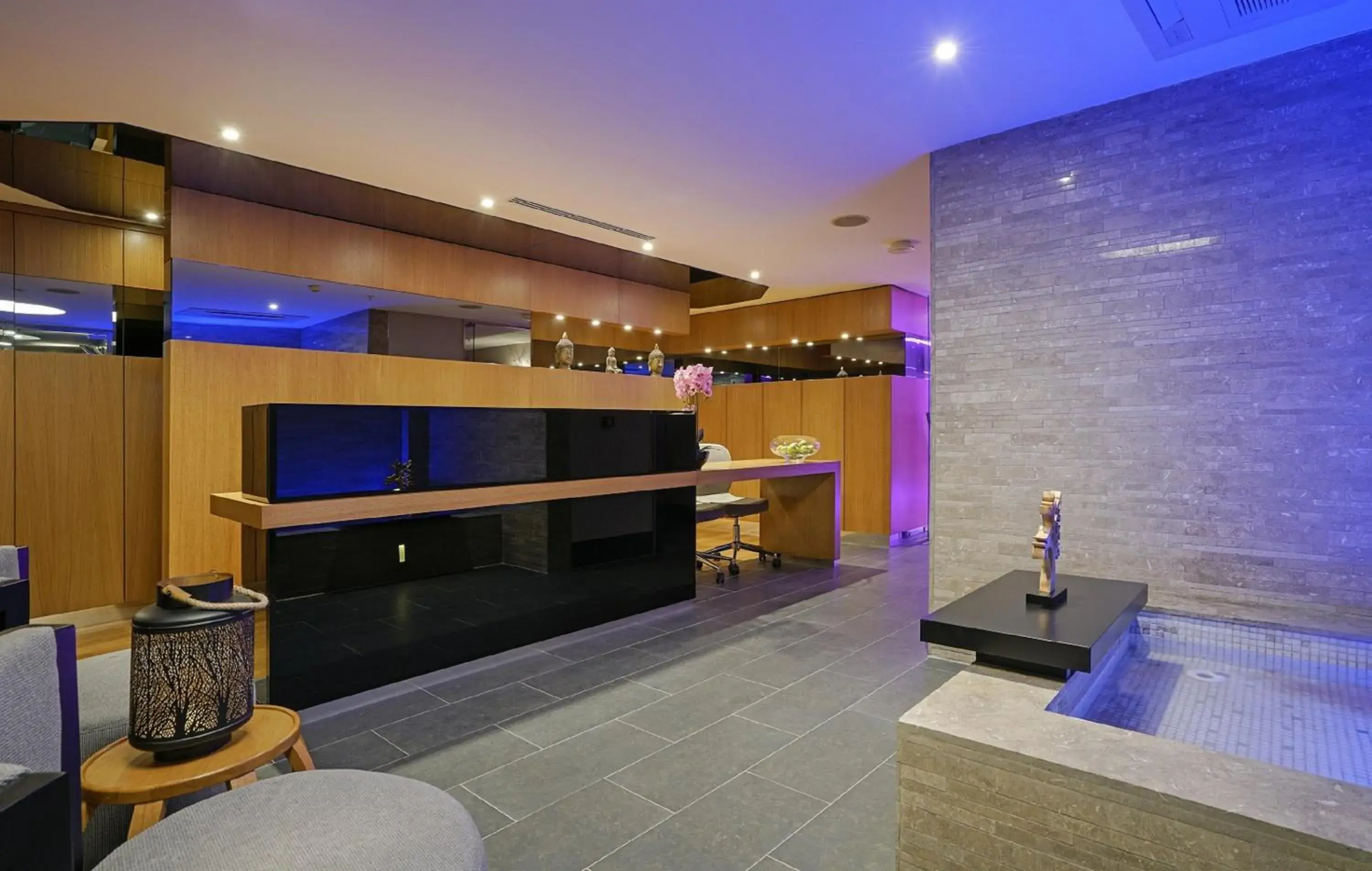 Spa and wellness centre/facilities, Lobby/Reception in Occidental Ankara