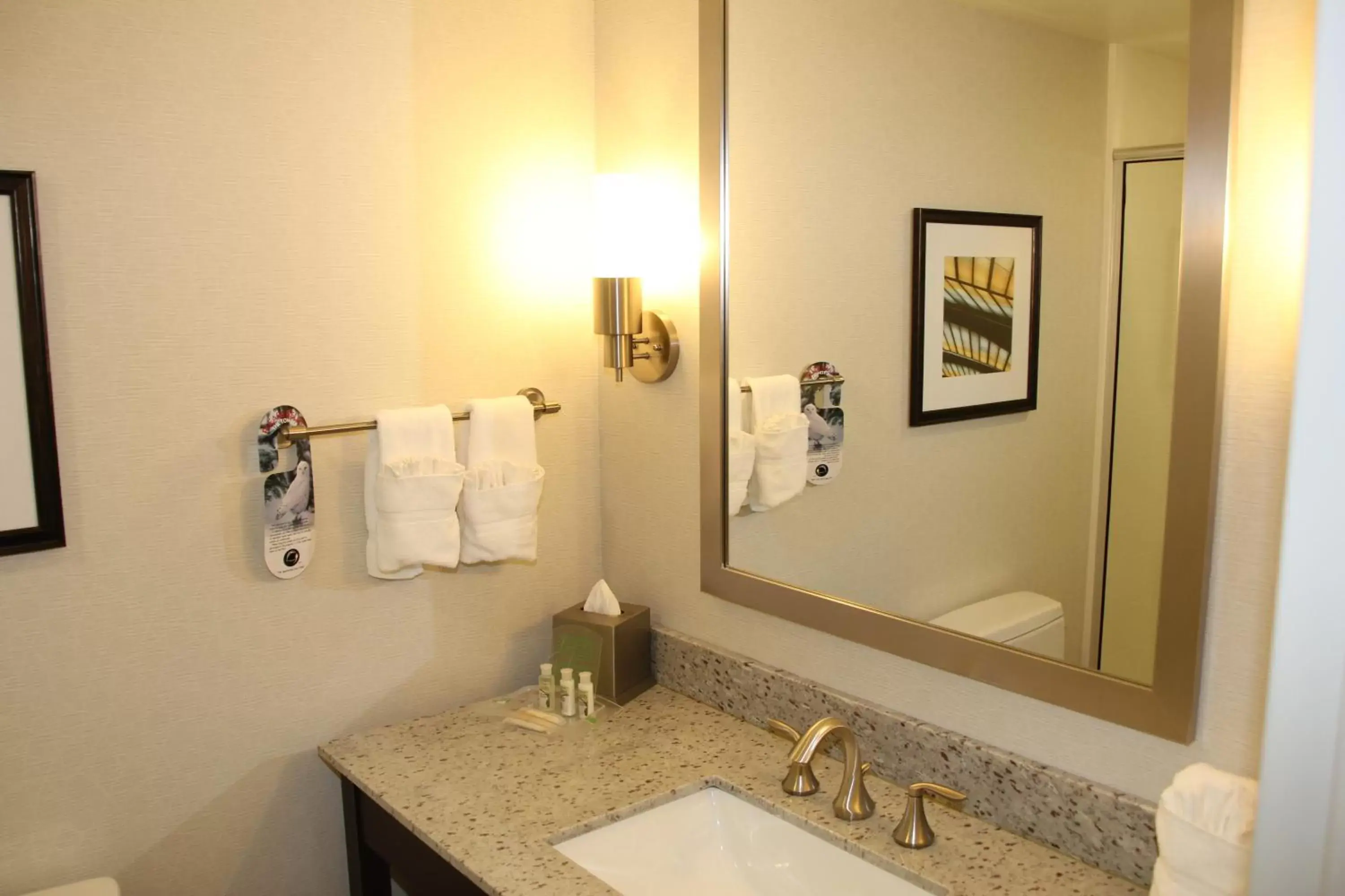 Bathroom in Holiday Inn and Suites East Peoria, an IHG Hotel