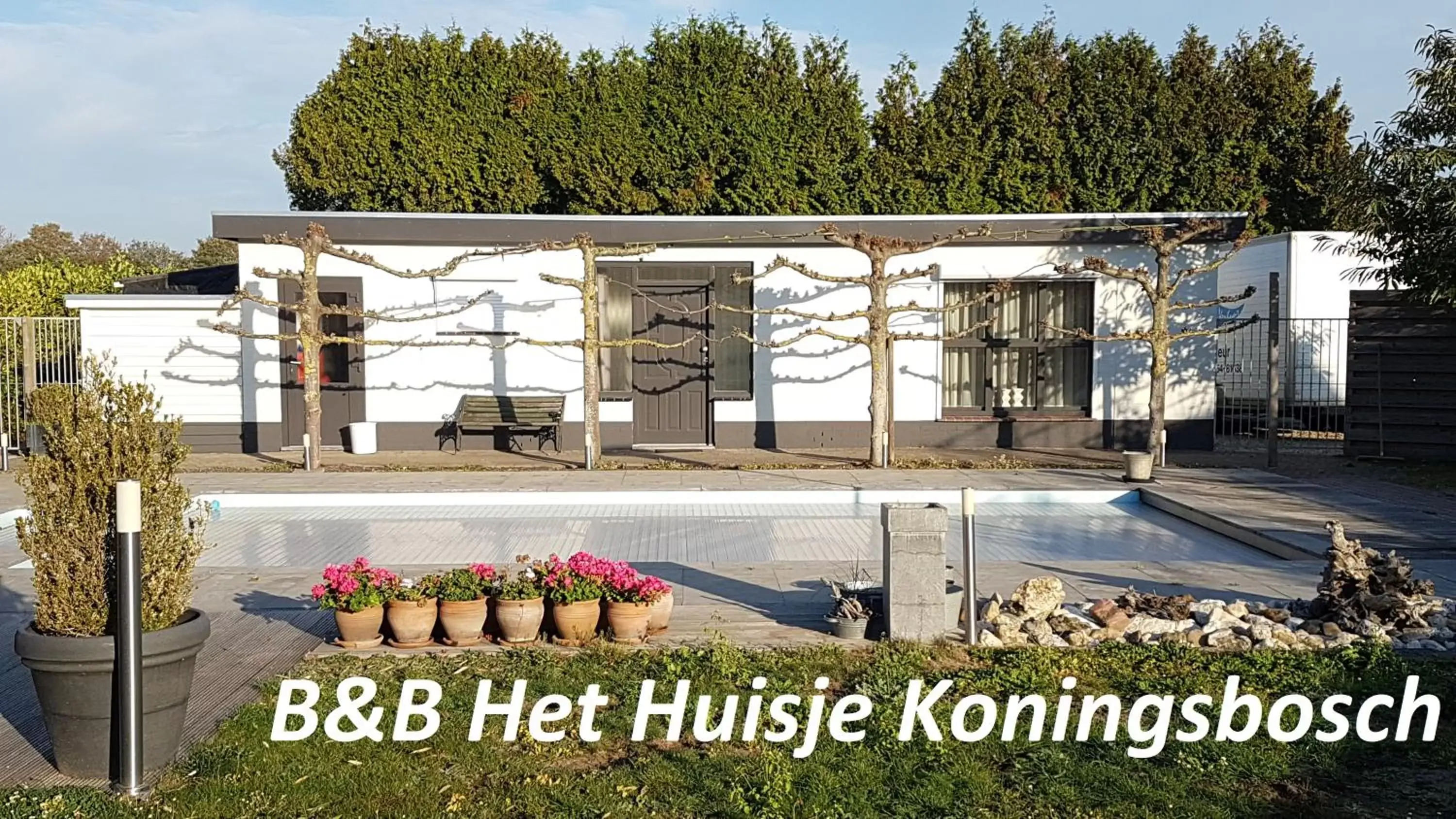 Property Building in Het Huisje