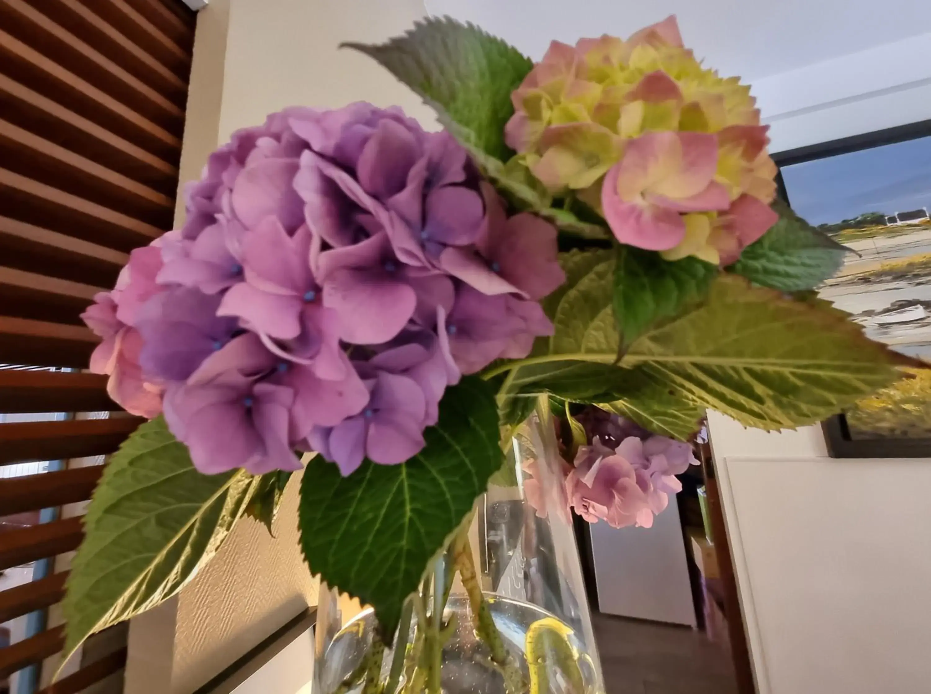 Lobby or reception in Hotel De L'Europe Lobby or reception in Hotel De L'Europe