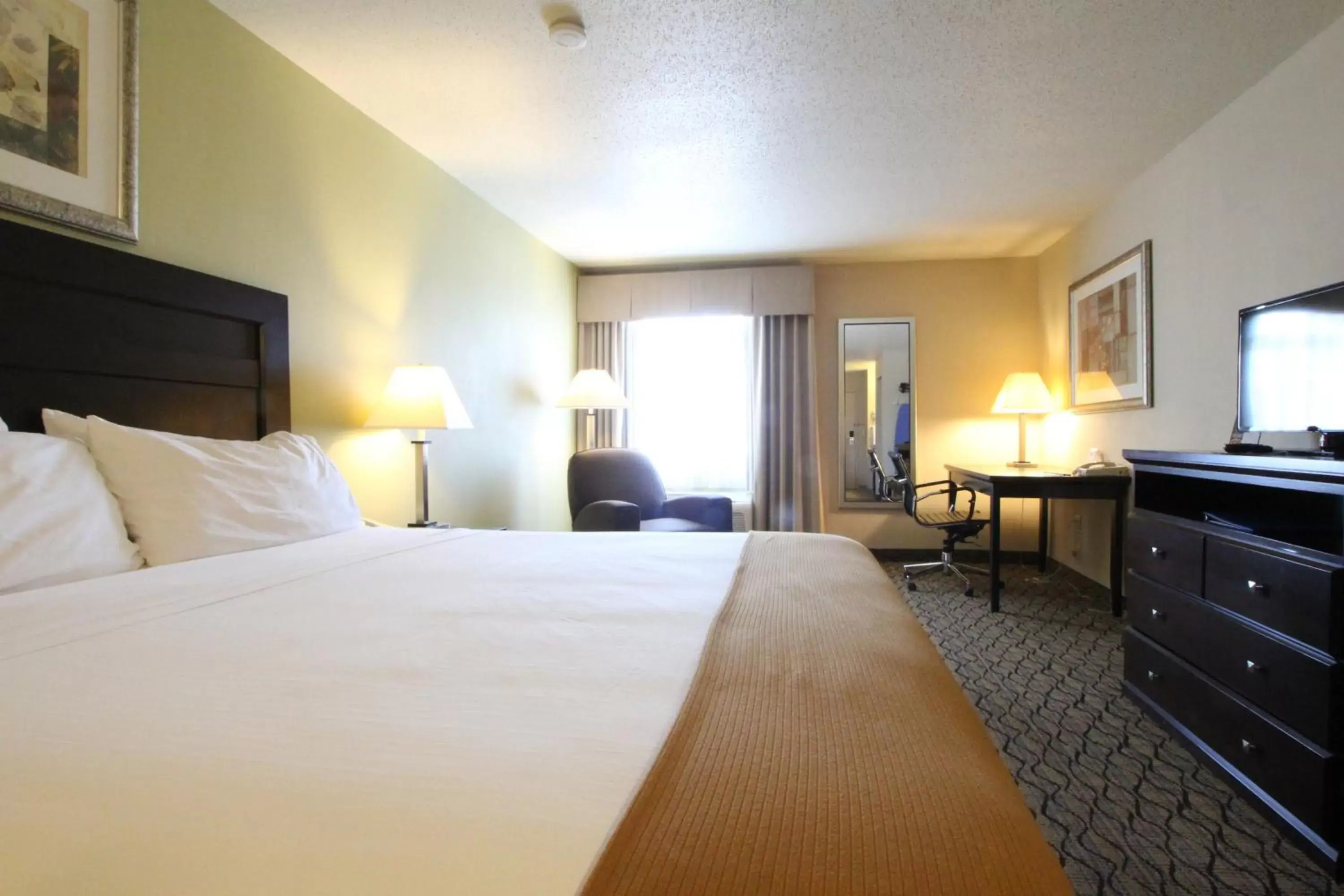 Bedroom, Bed in Holiday Inn Express & Suites Chicago-Libertyville, an IHG Hotel