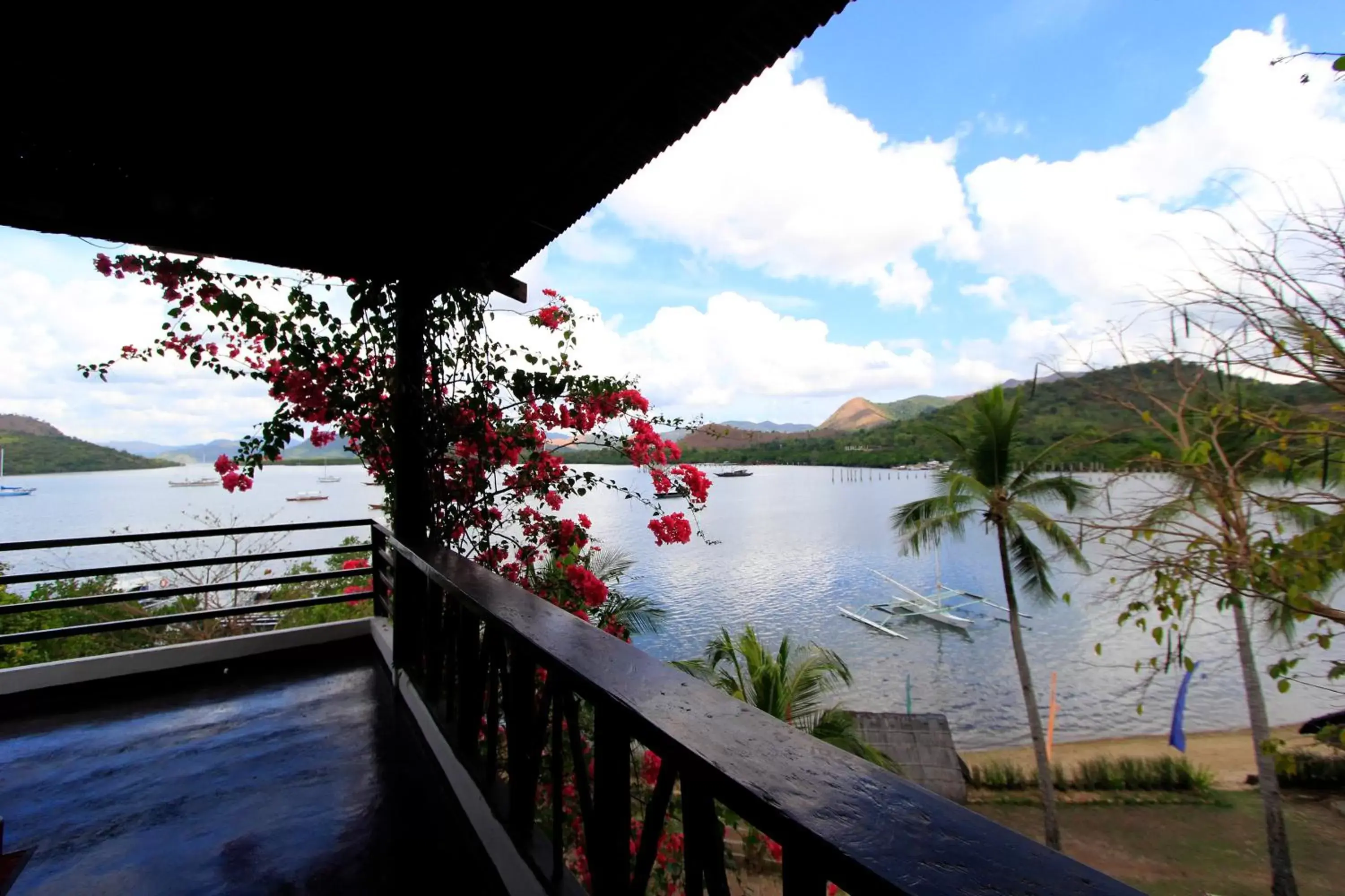 Balcony/Terrace in Discovery Island Resort