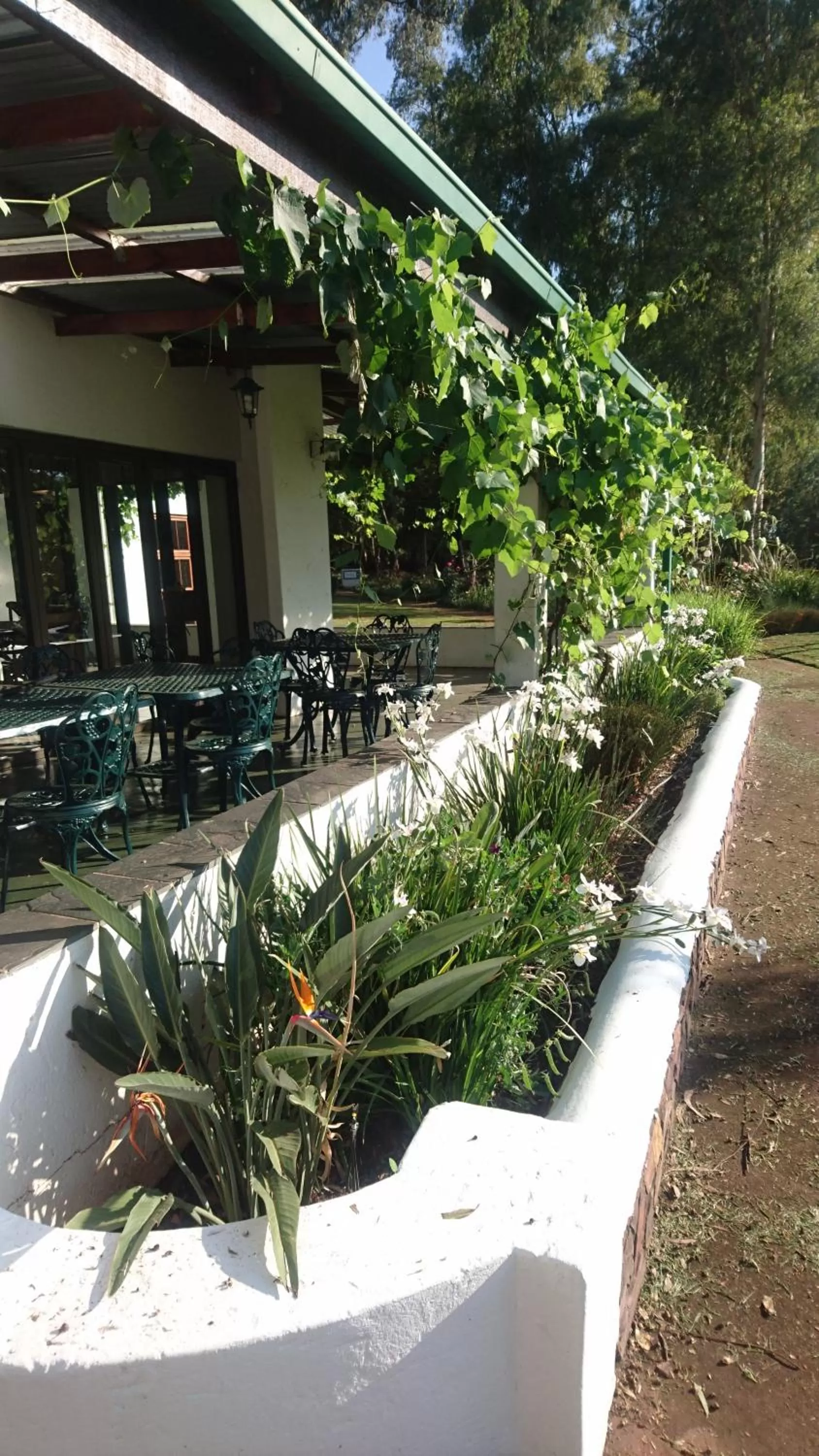 The Highveld Cape Inn