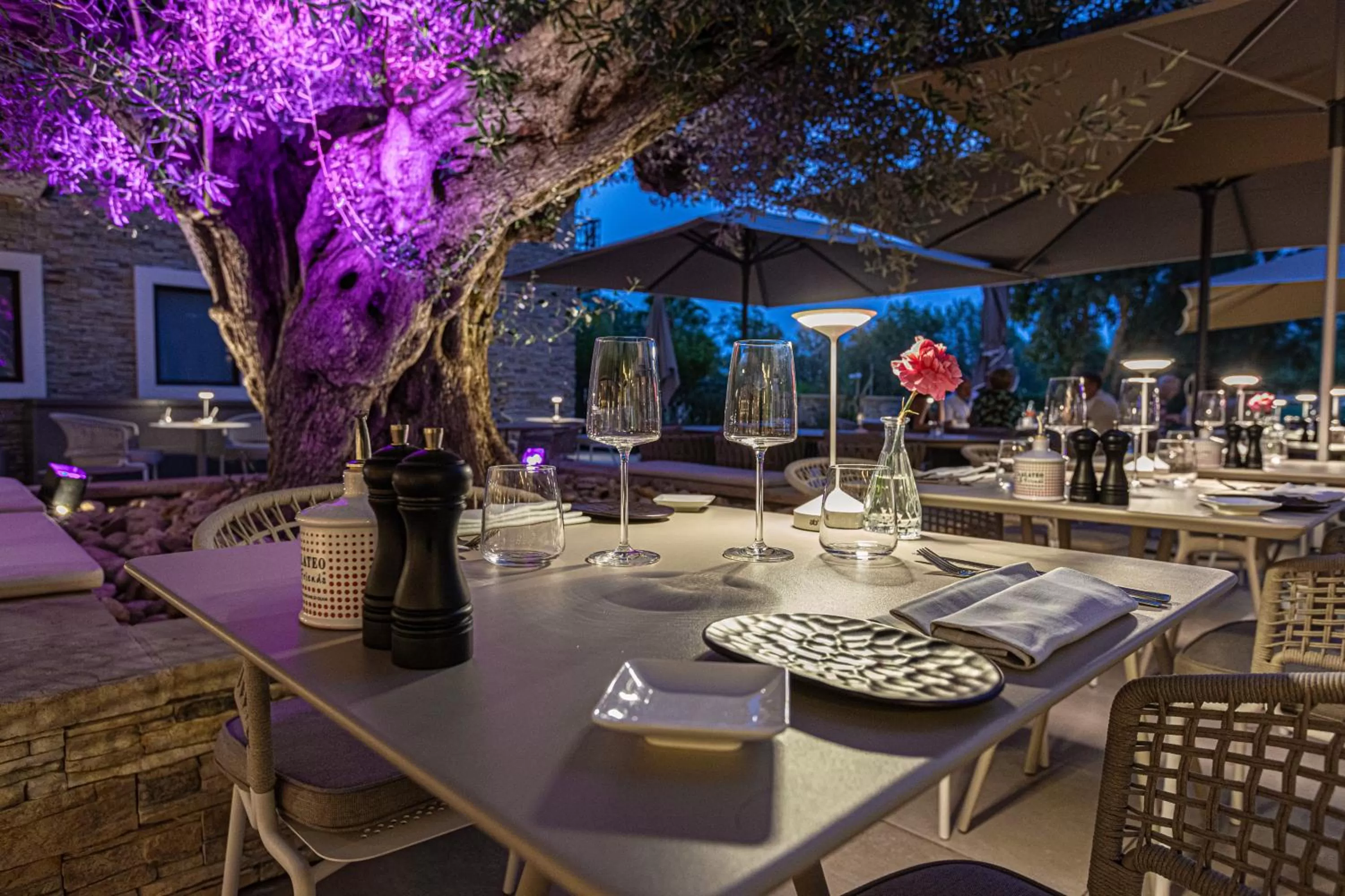 Restaurant/places to eat in Ilot du Golf BW Premier Collection