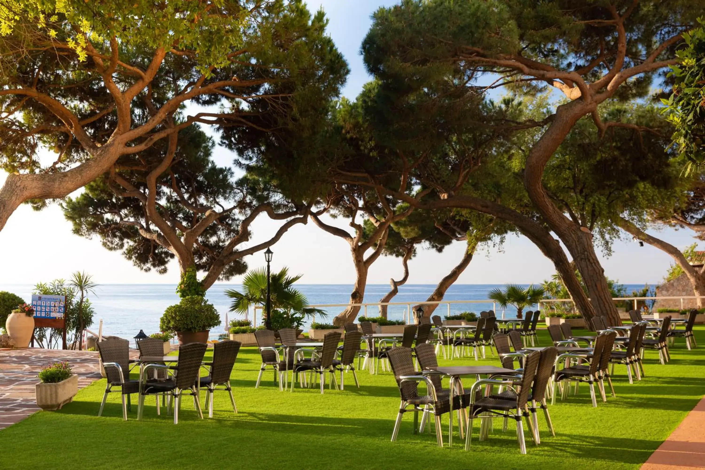 Patio, Garden in htop Caleta Palace