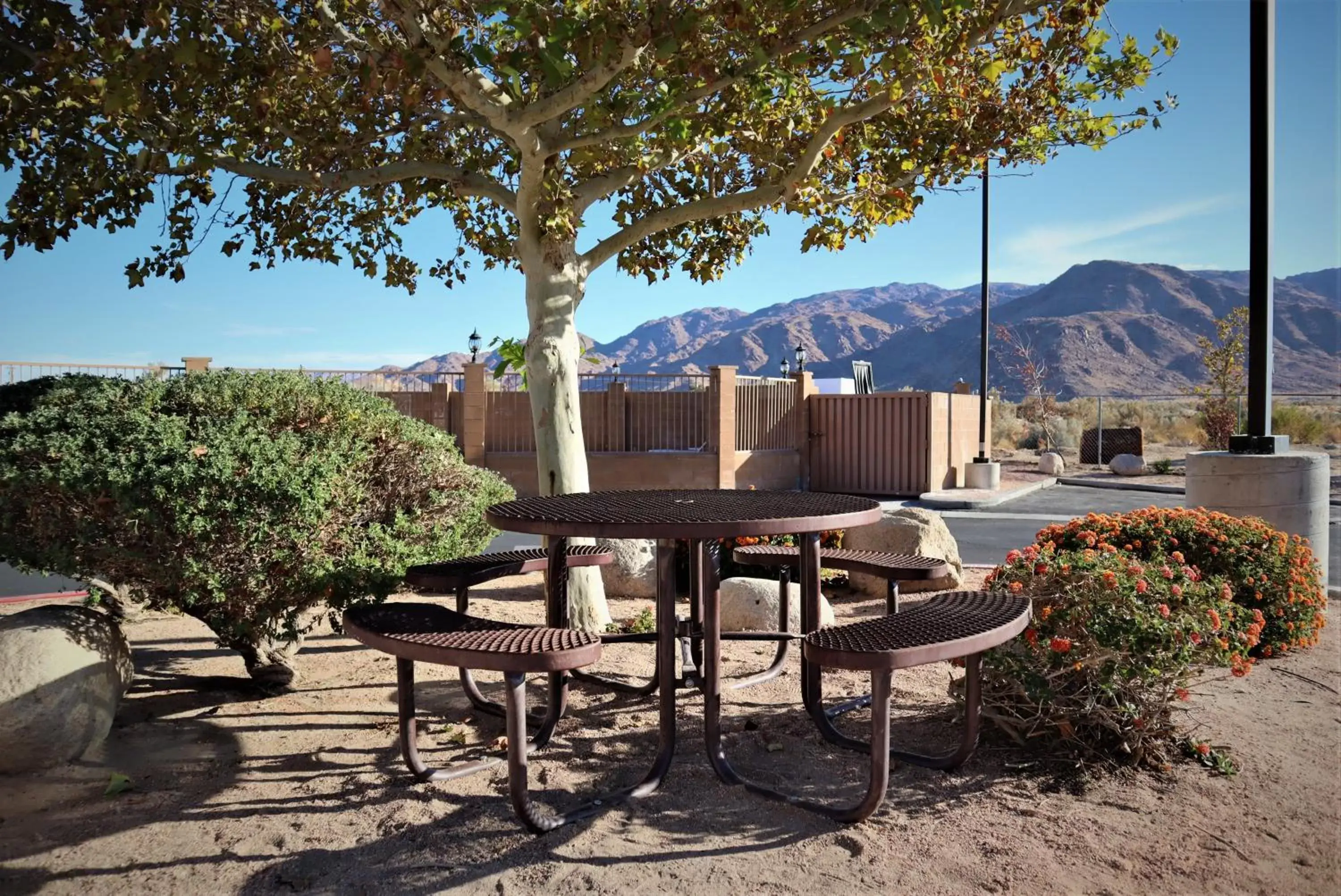 Patio in Oasis Inn and Suites Joshua Tree -29 Palms