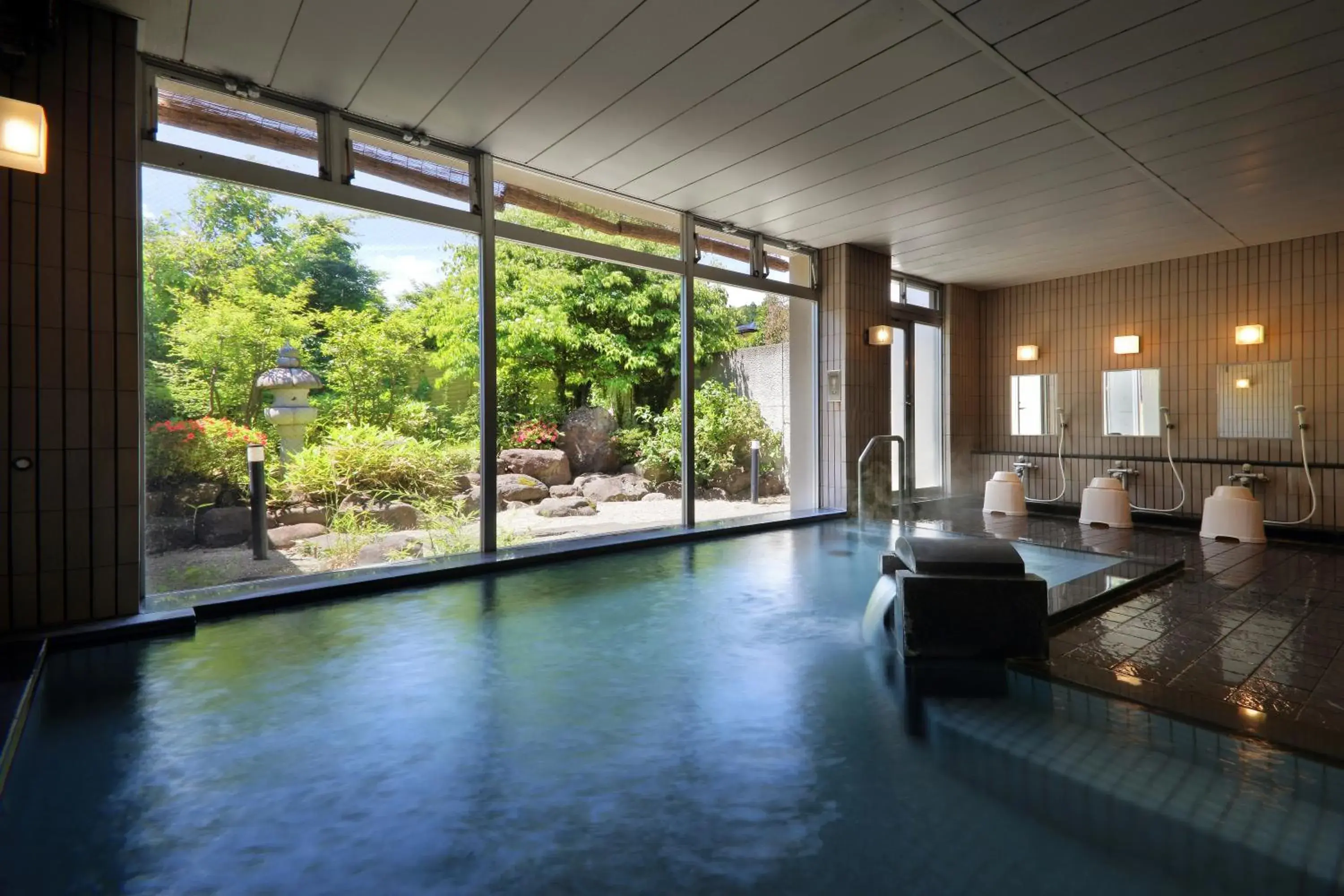 Hot Spring Bath, Swimming Pool in Fujiya Ryokan