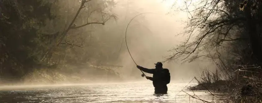 Fishing, Other Activities in Horseshoe Riverside Lodge