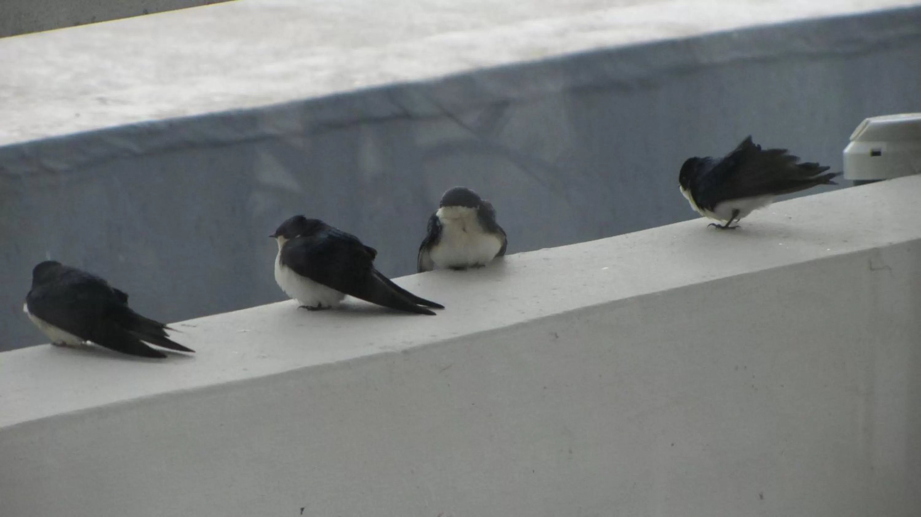 Other in BDA Hotel & Spa