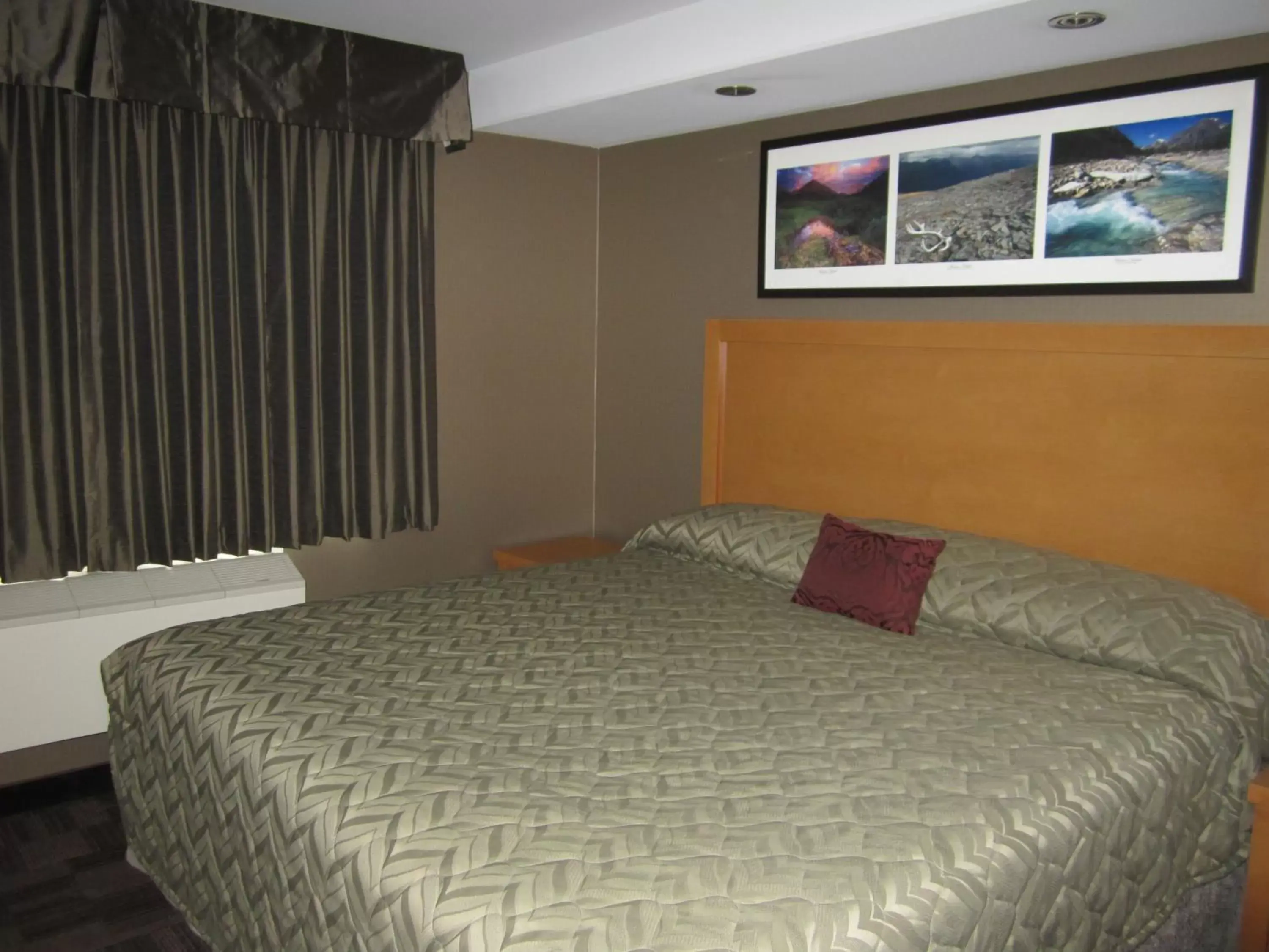 Bed in Woodlands Inn & Suites