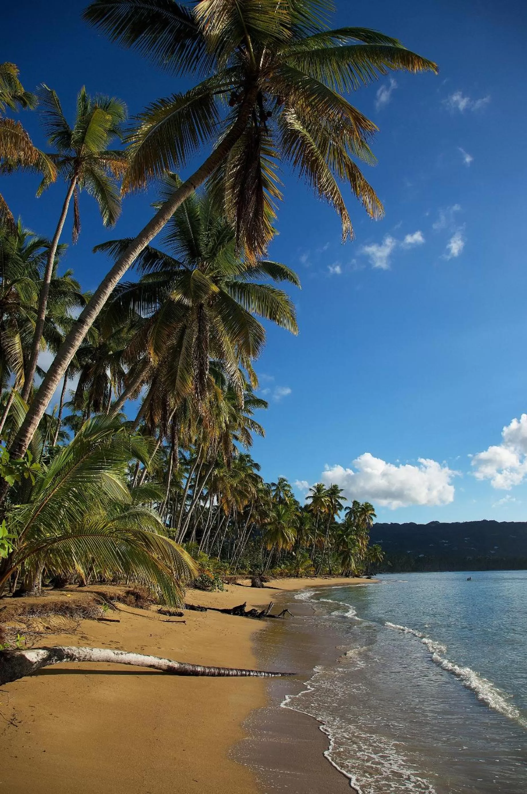 Beach in Hotel Atlantis