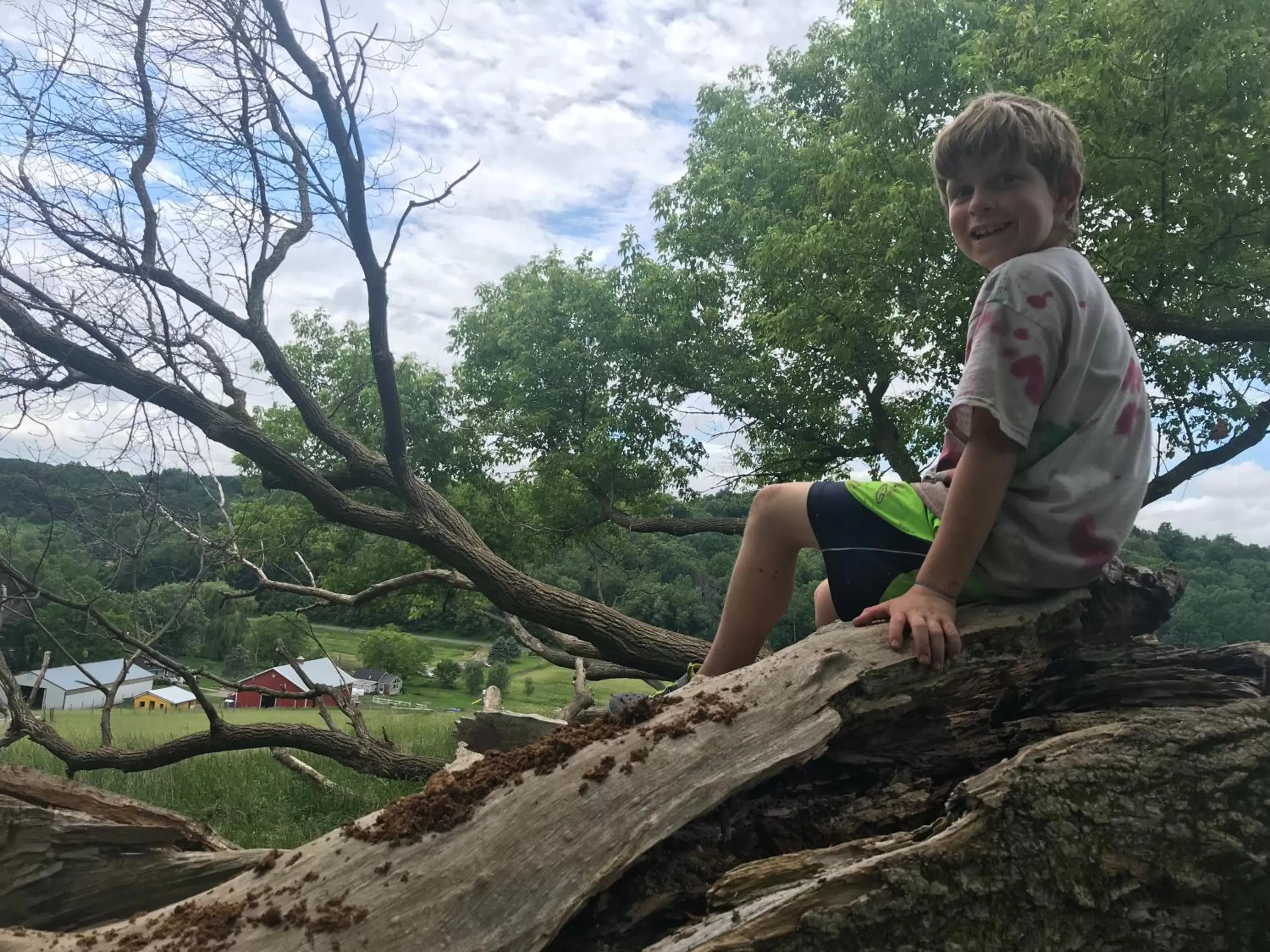 Bird's eye view, Children in Rainbow Ridge Farms