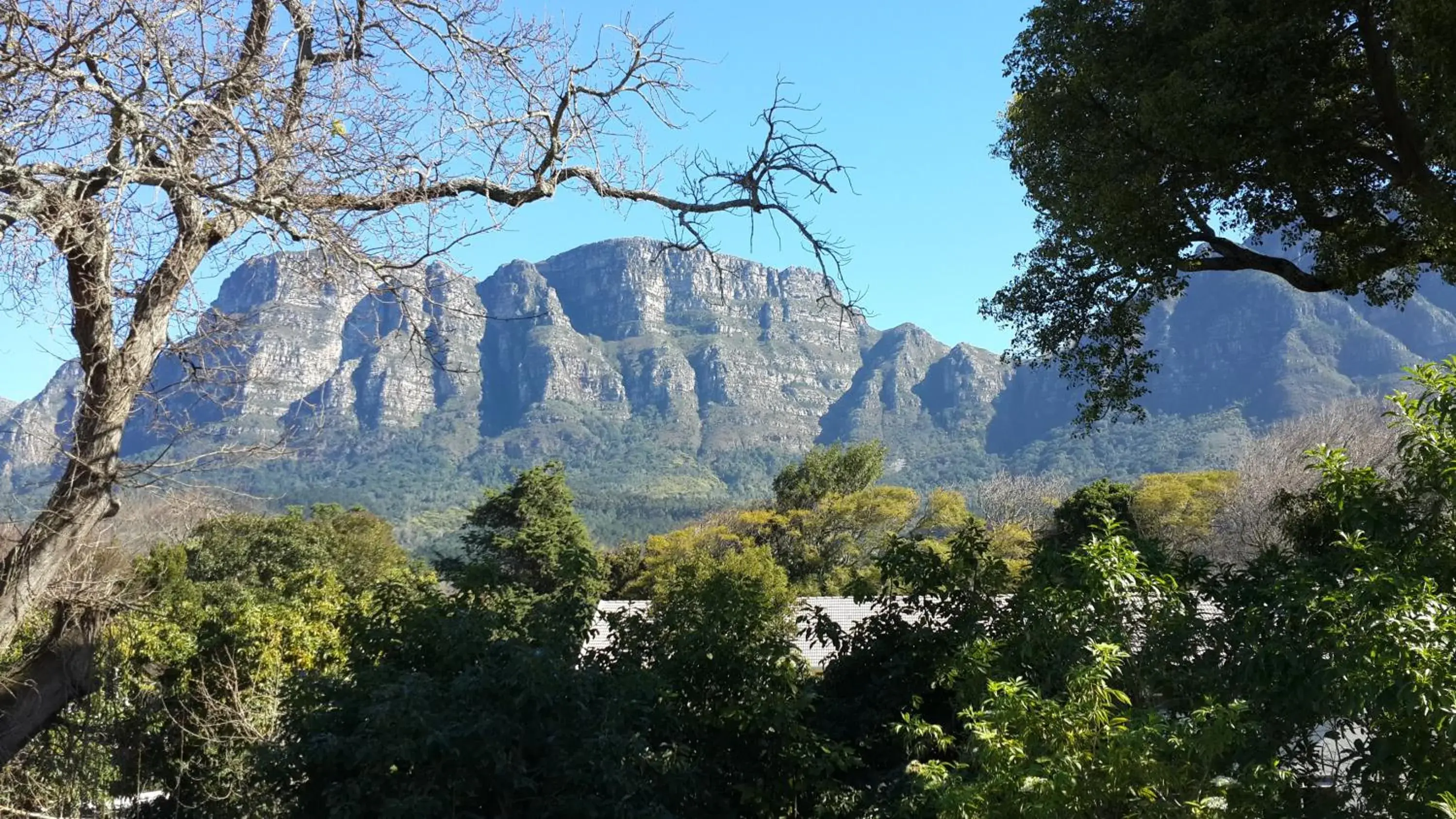 Mountain View in Riversong Guest House