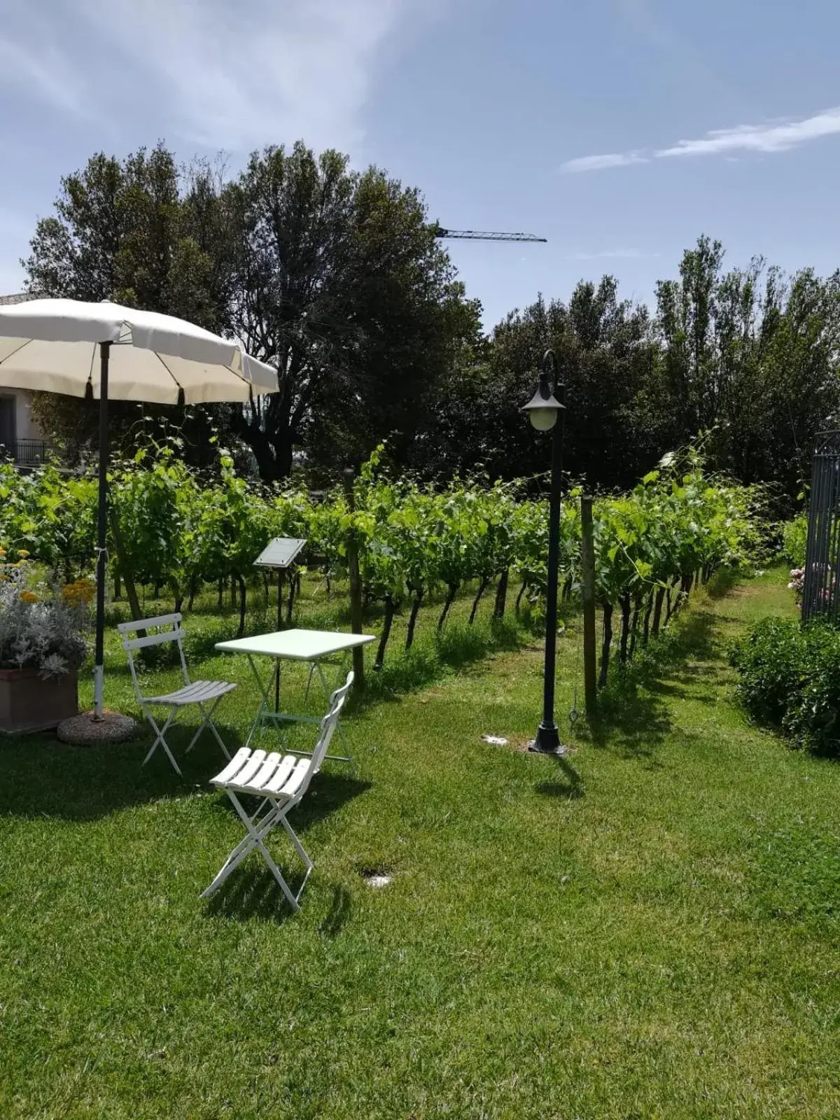 Natural landscape, Garden in Cortona Resort & Spa - Villa Aurea