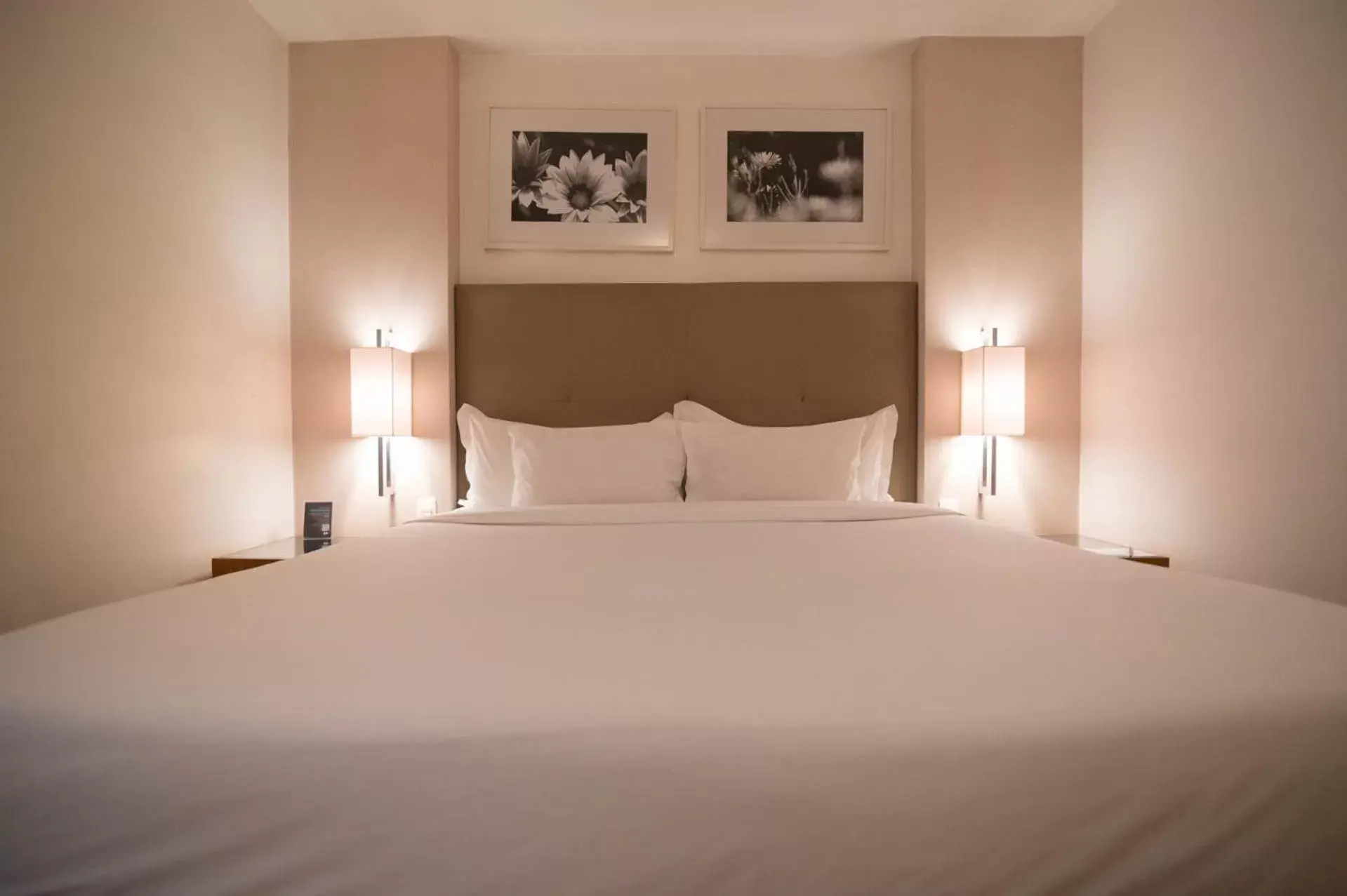 Bed in H2 Platinum Lourdes Bed in H2 Platinum Lourdes