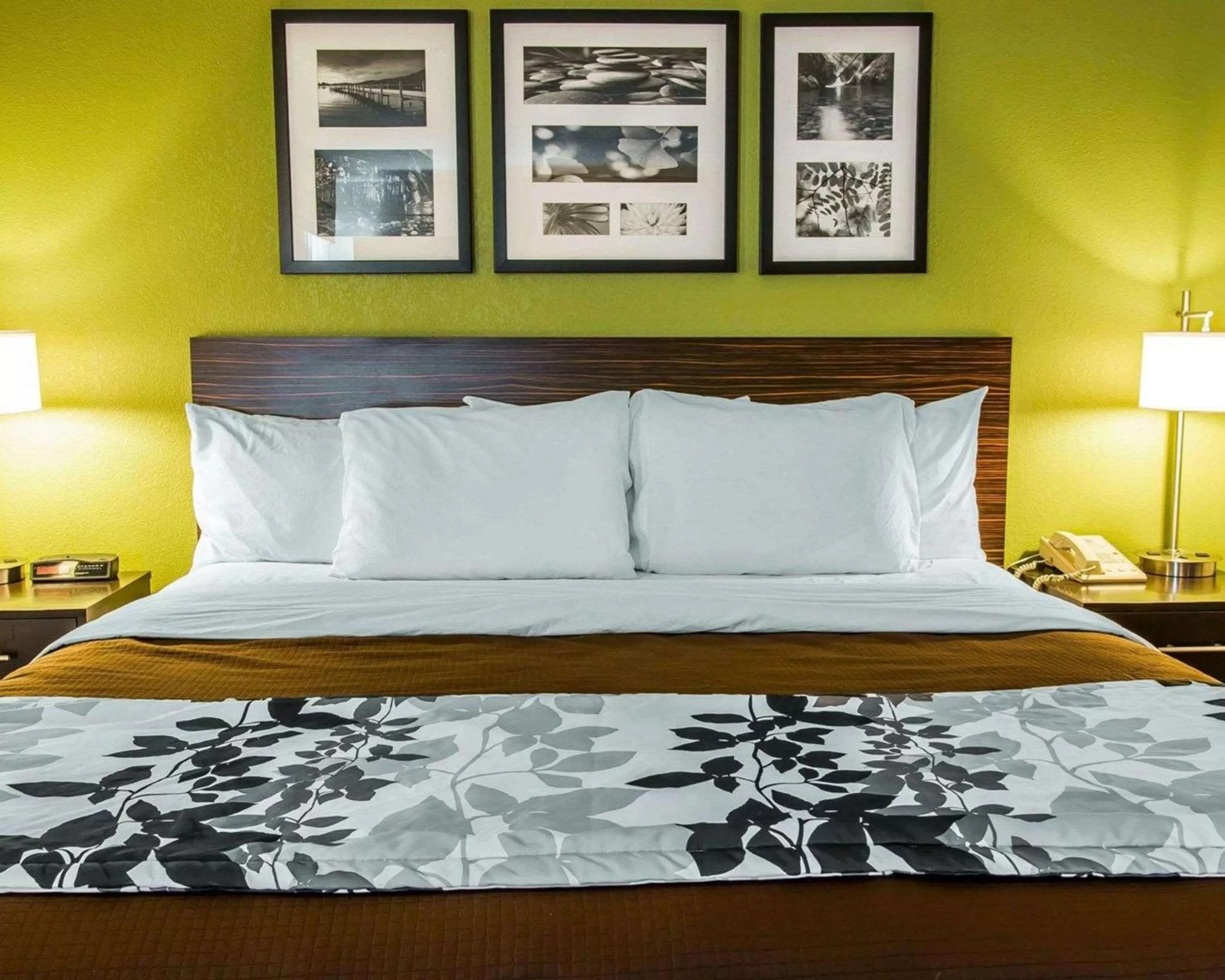 Photo of the whole room, Bed in Sleep Inn