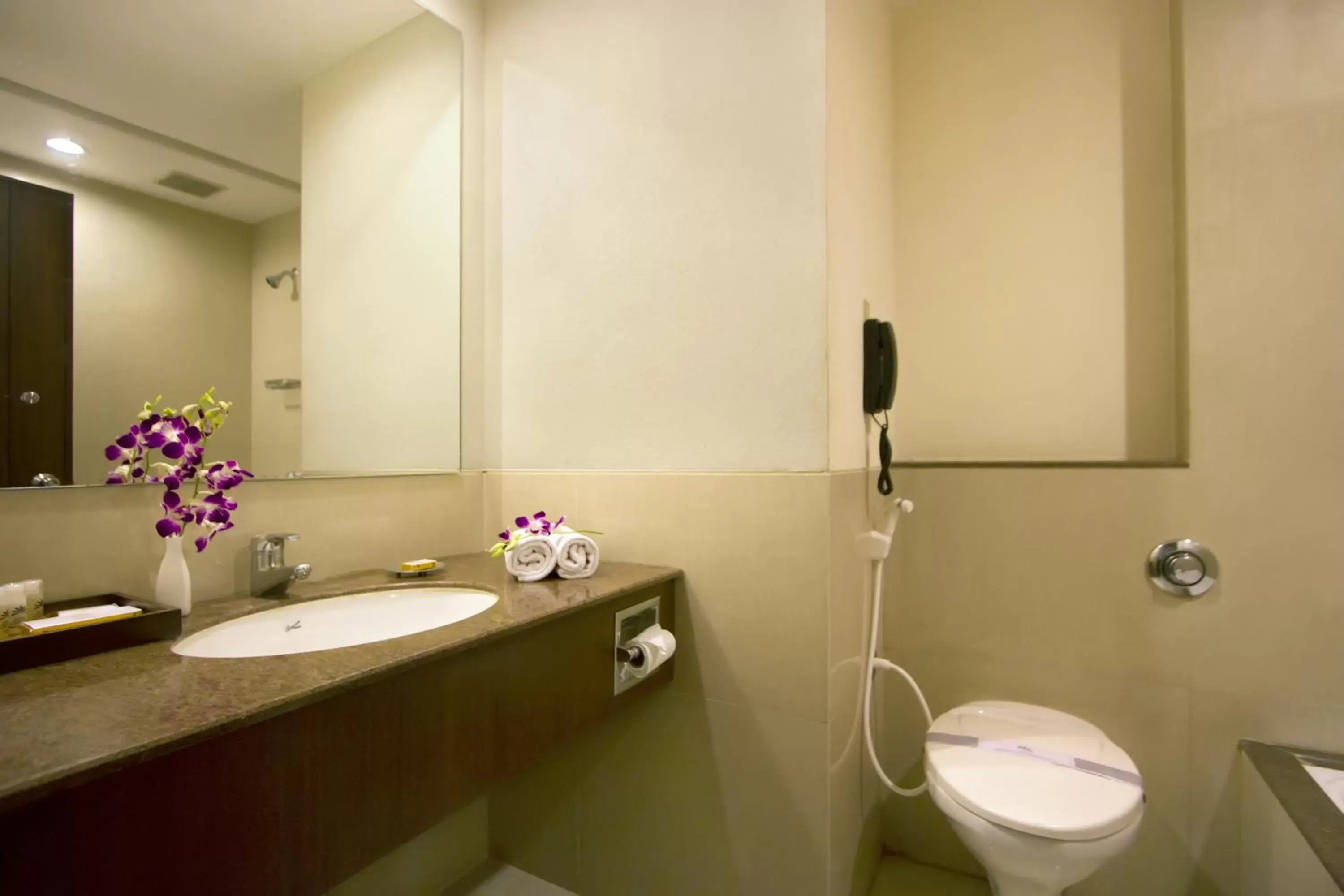 Bathroom in Hotel Express Residency Vadodara