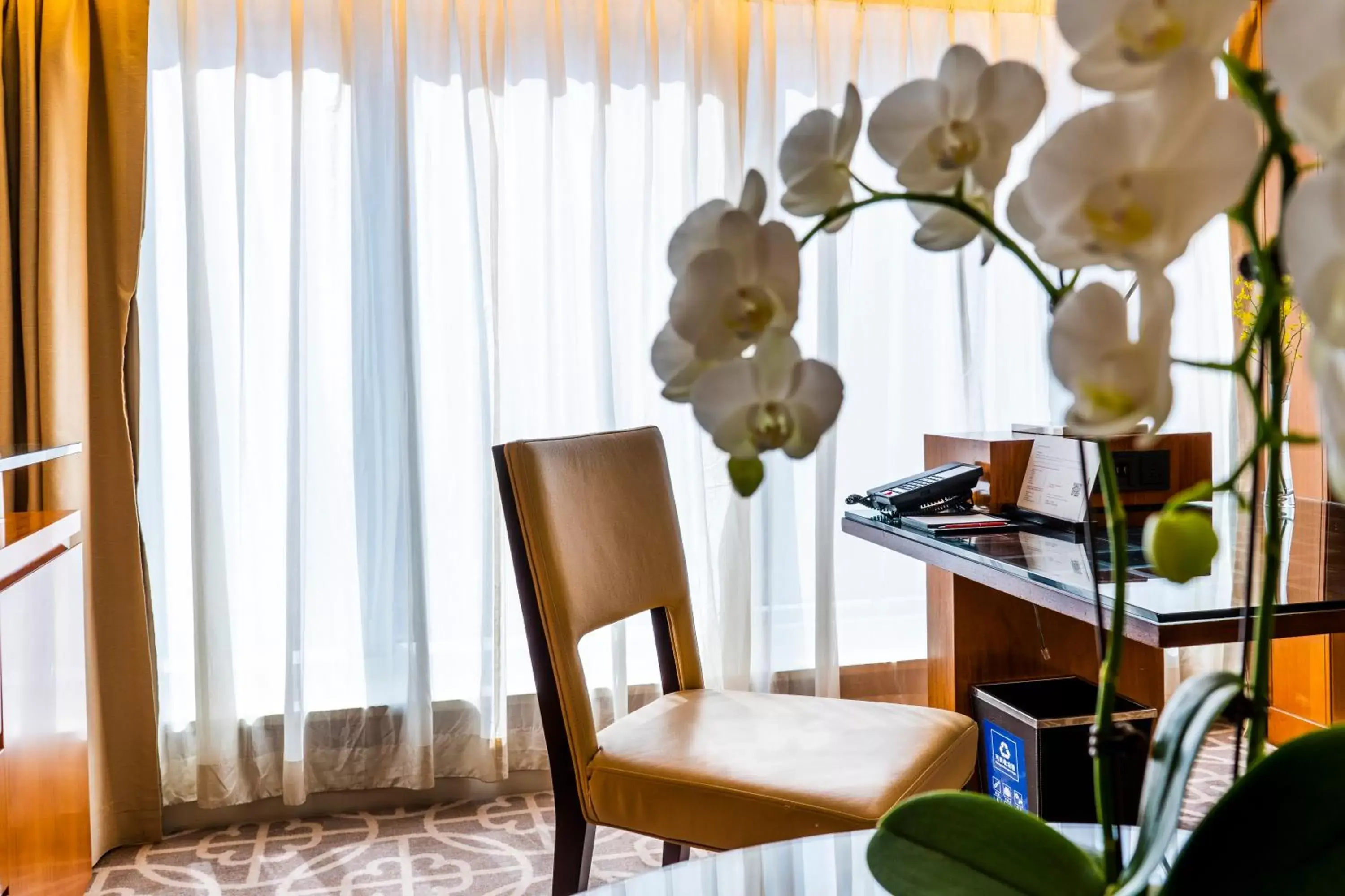 Living room, Dining Area in Grand Hyatt Beijing