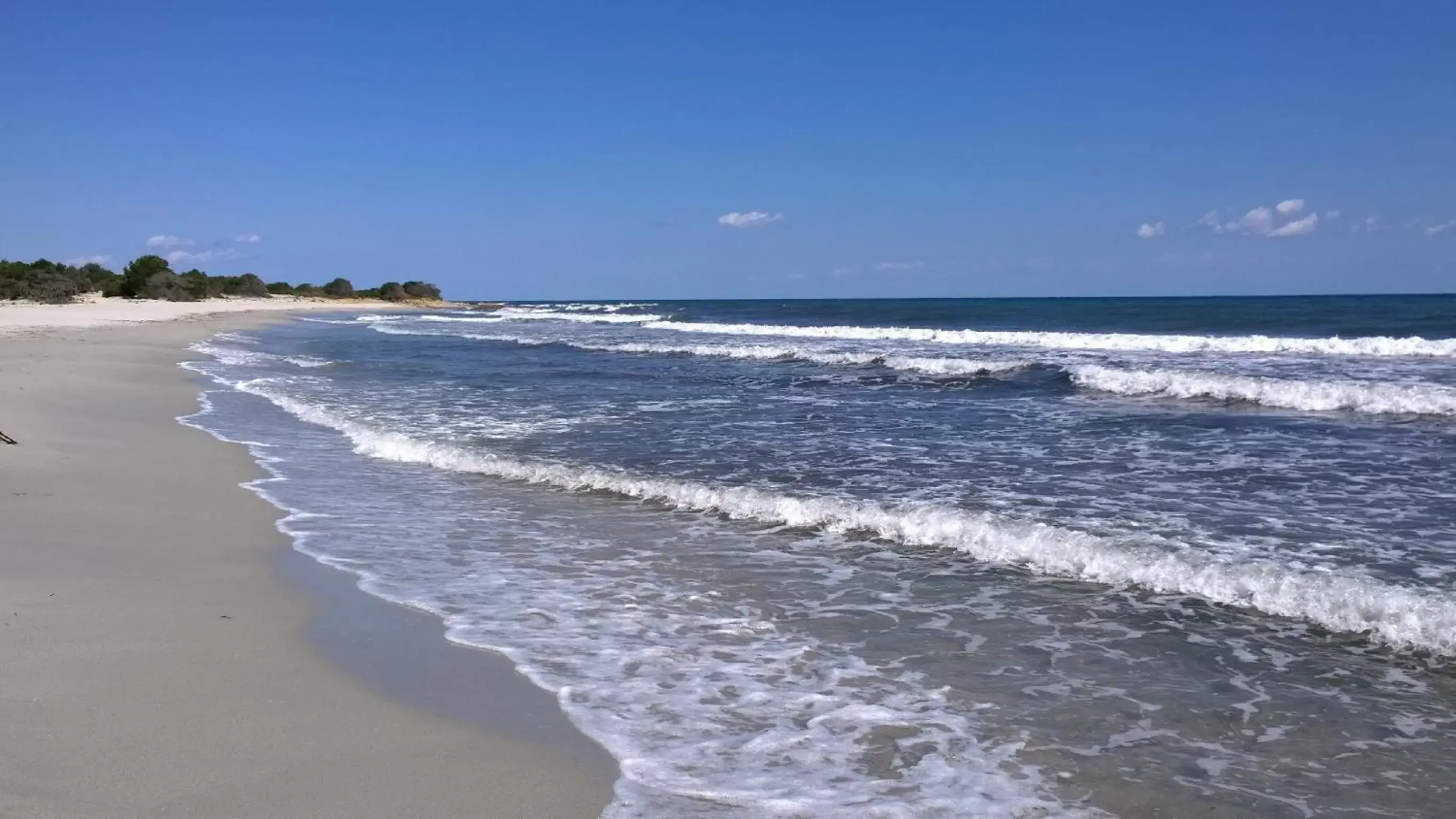 Beach in Hotel Su Barchile