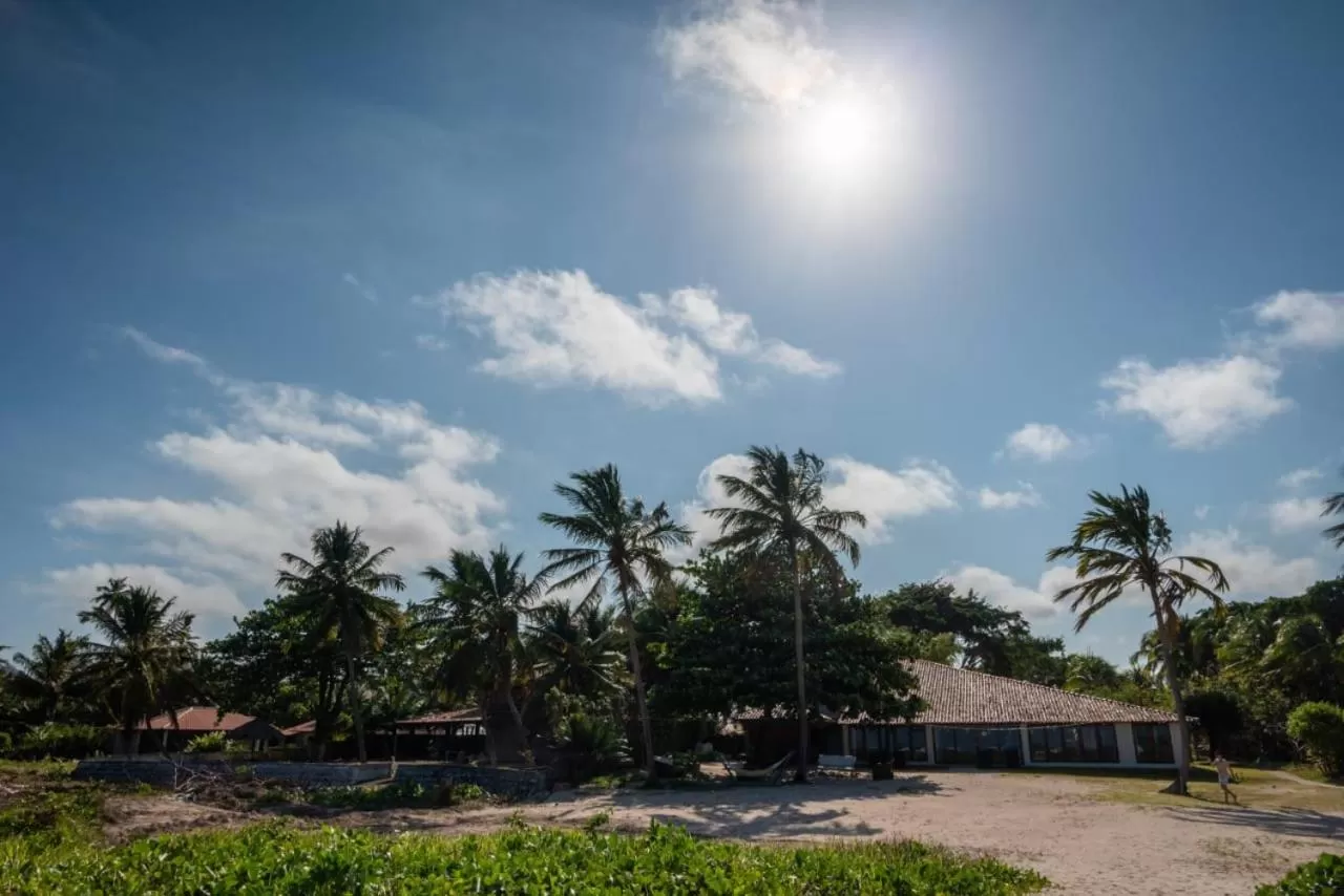 Garden in Angá Beach Hotel