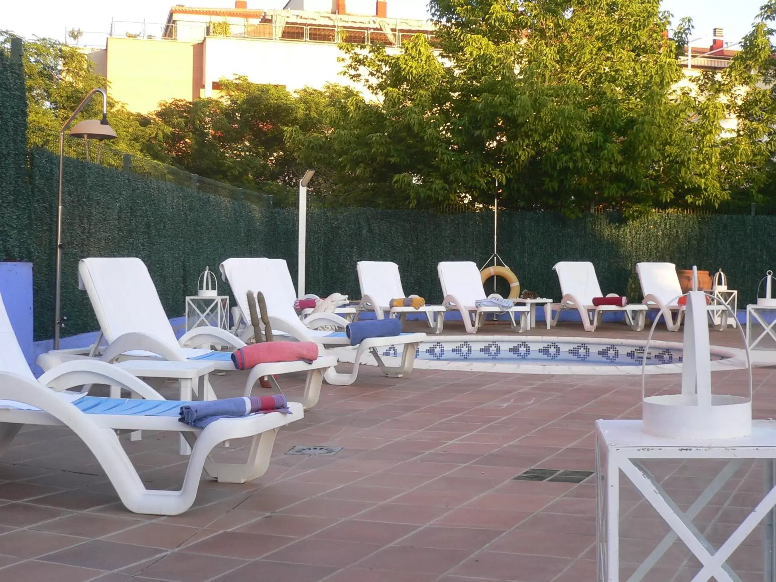 Solarium, Swimming Pool in Hotel Zeus