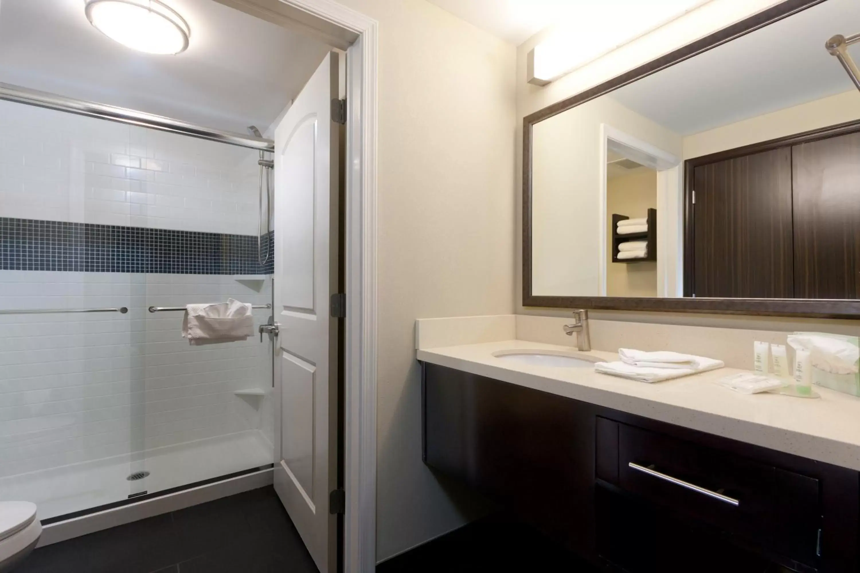 Photo of the whole room, Bathroom in Staybridge Suites Buffalo-Amherst, an IHG Hotel
