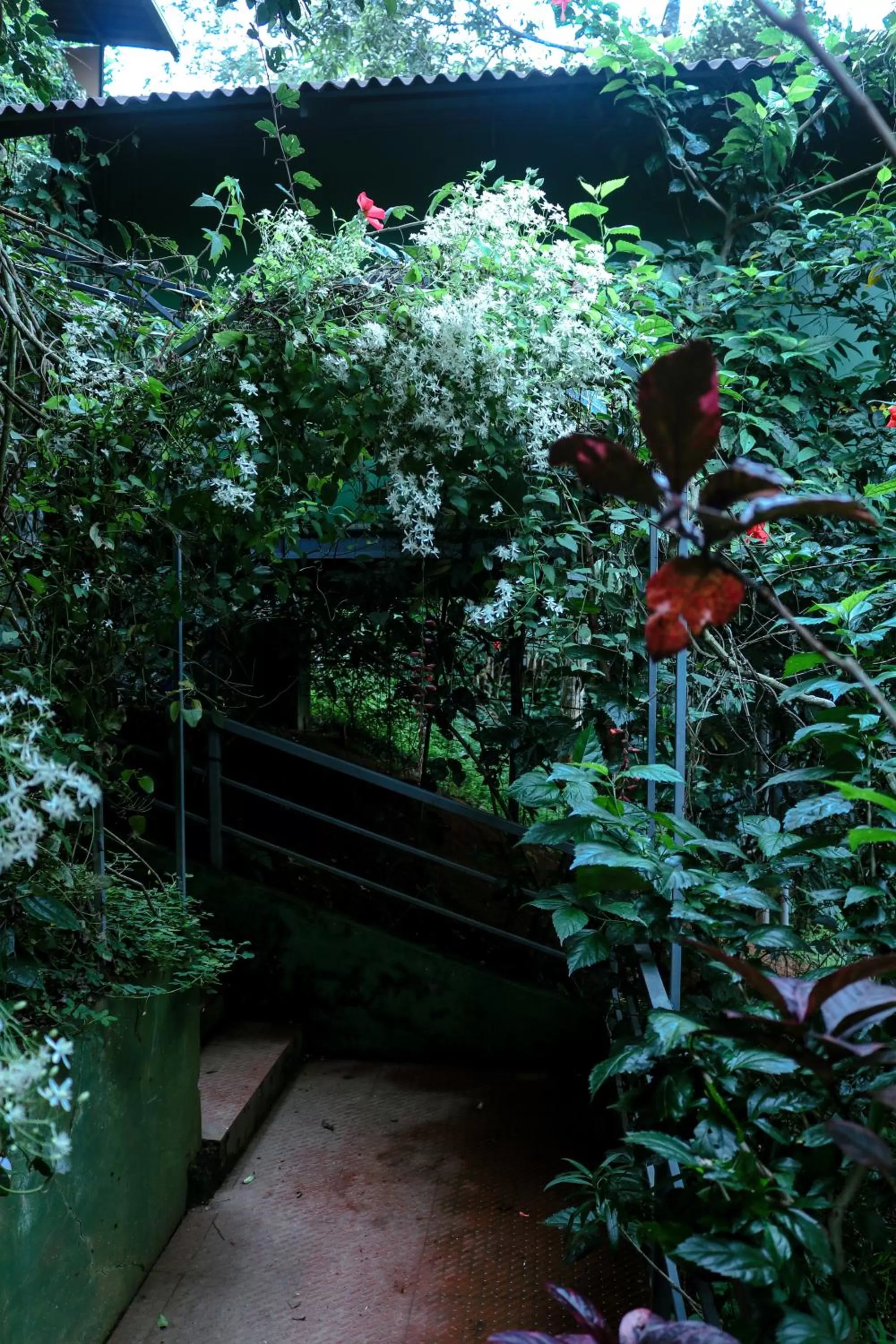 Property building in Edens Munnar