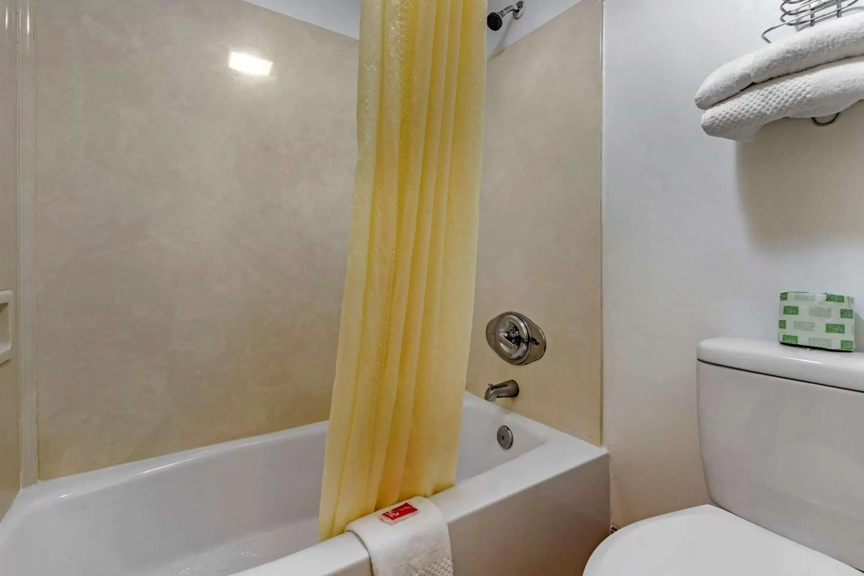 Bathroom in Econo Lodge Inn & Suites Lugoff