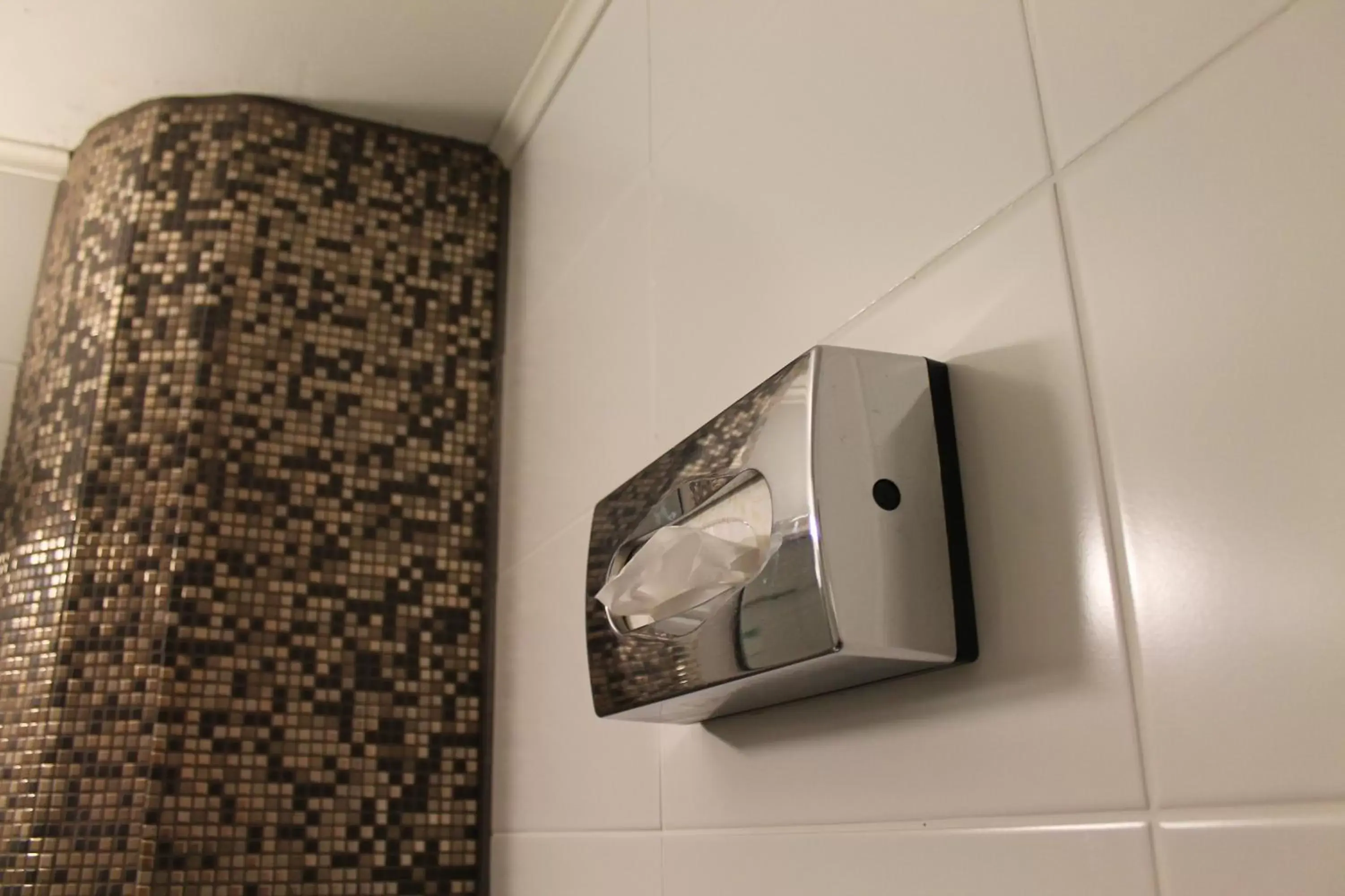 Decorative detail, Bathroom in Hotel Vanha Rauma