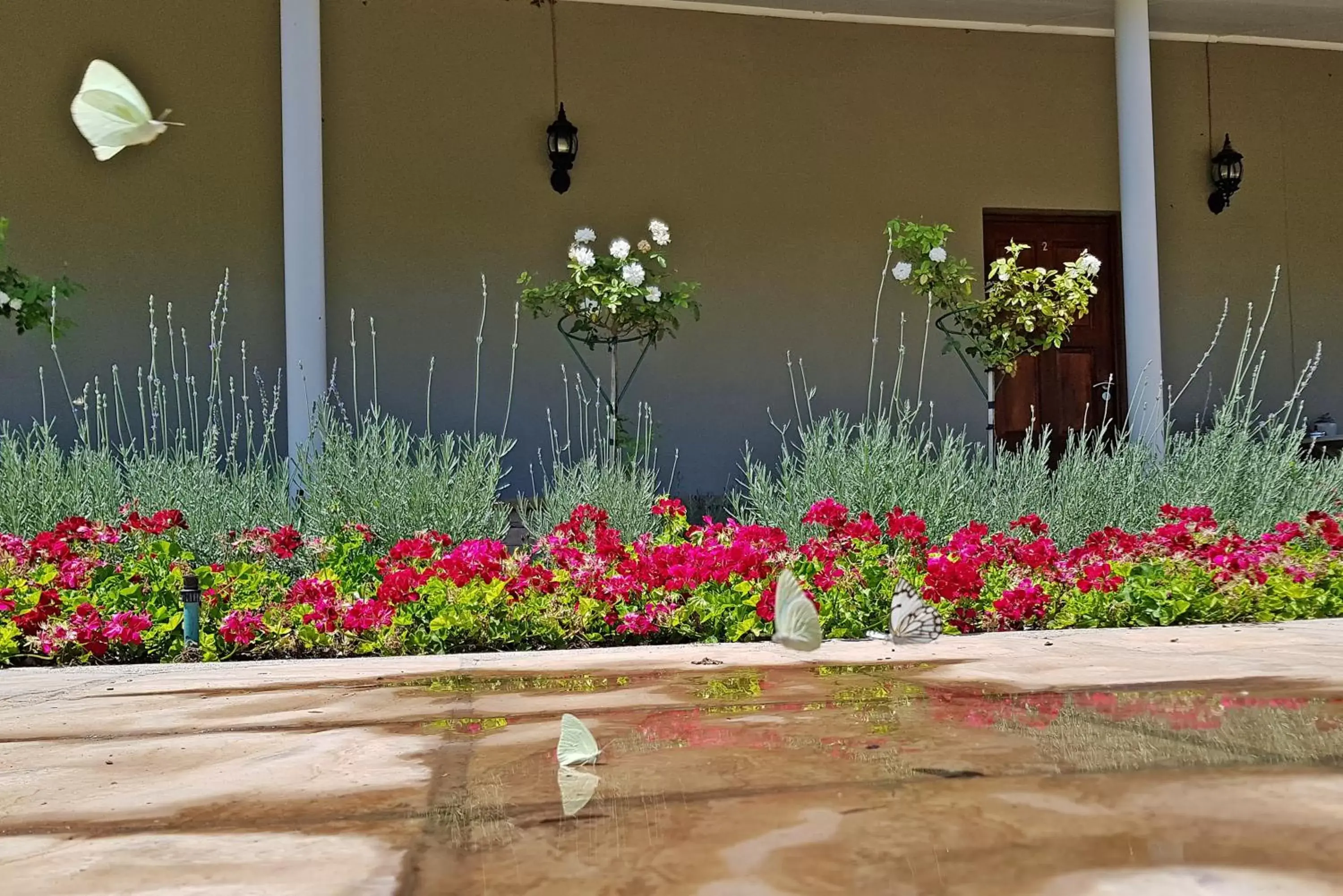 King Room with Garden View in Jonkershoek Guest Farm King Room with Garden View in Jonkershoek Guest Farm