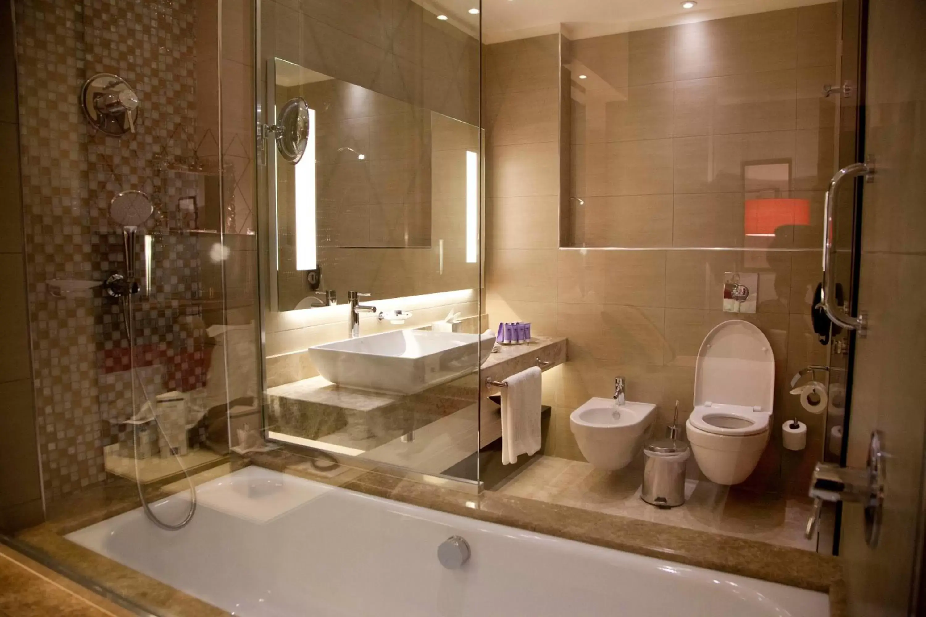 Shower, Bathroom in Hilton Amman