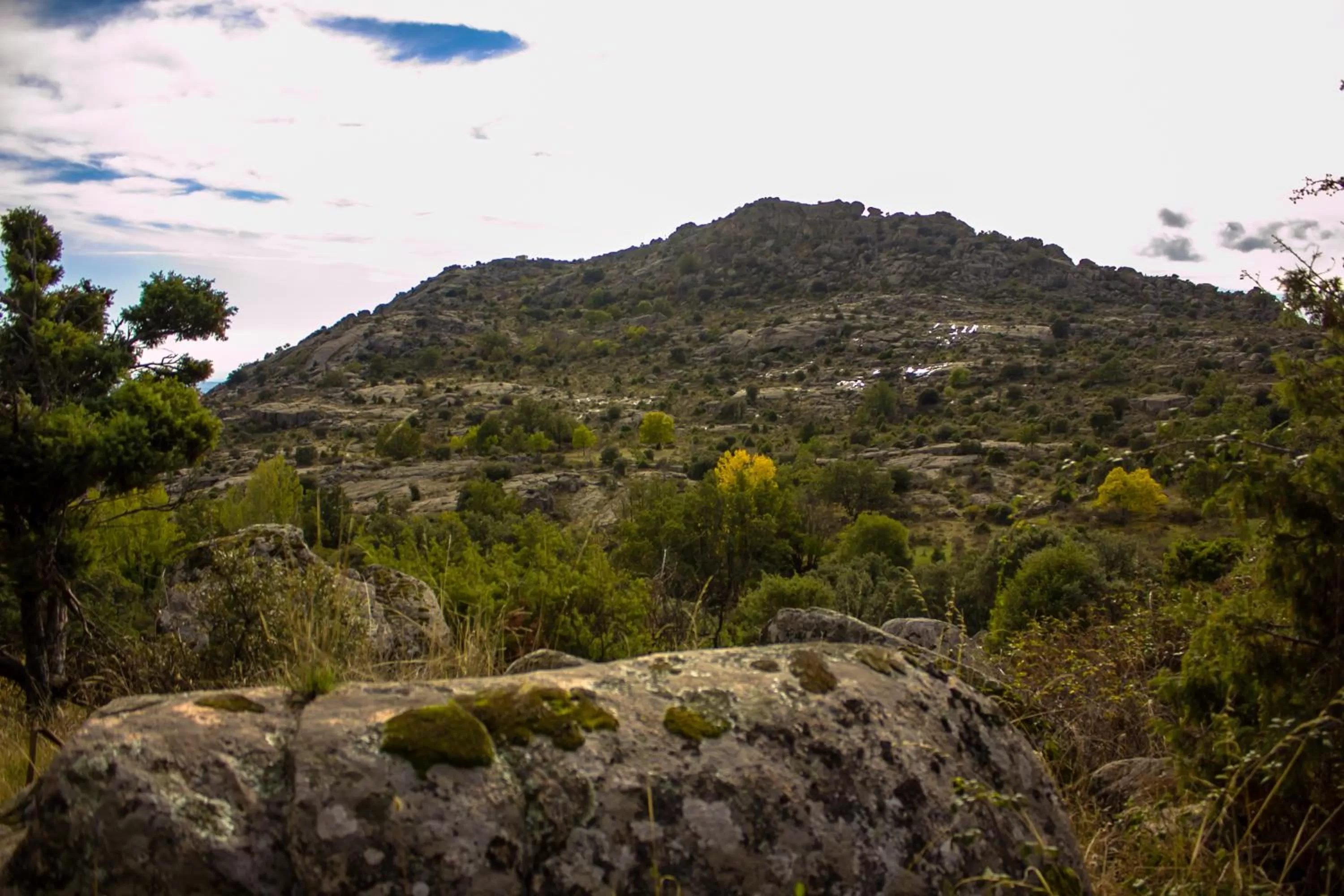 View (from property/room) in Hotel Sara De Ur